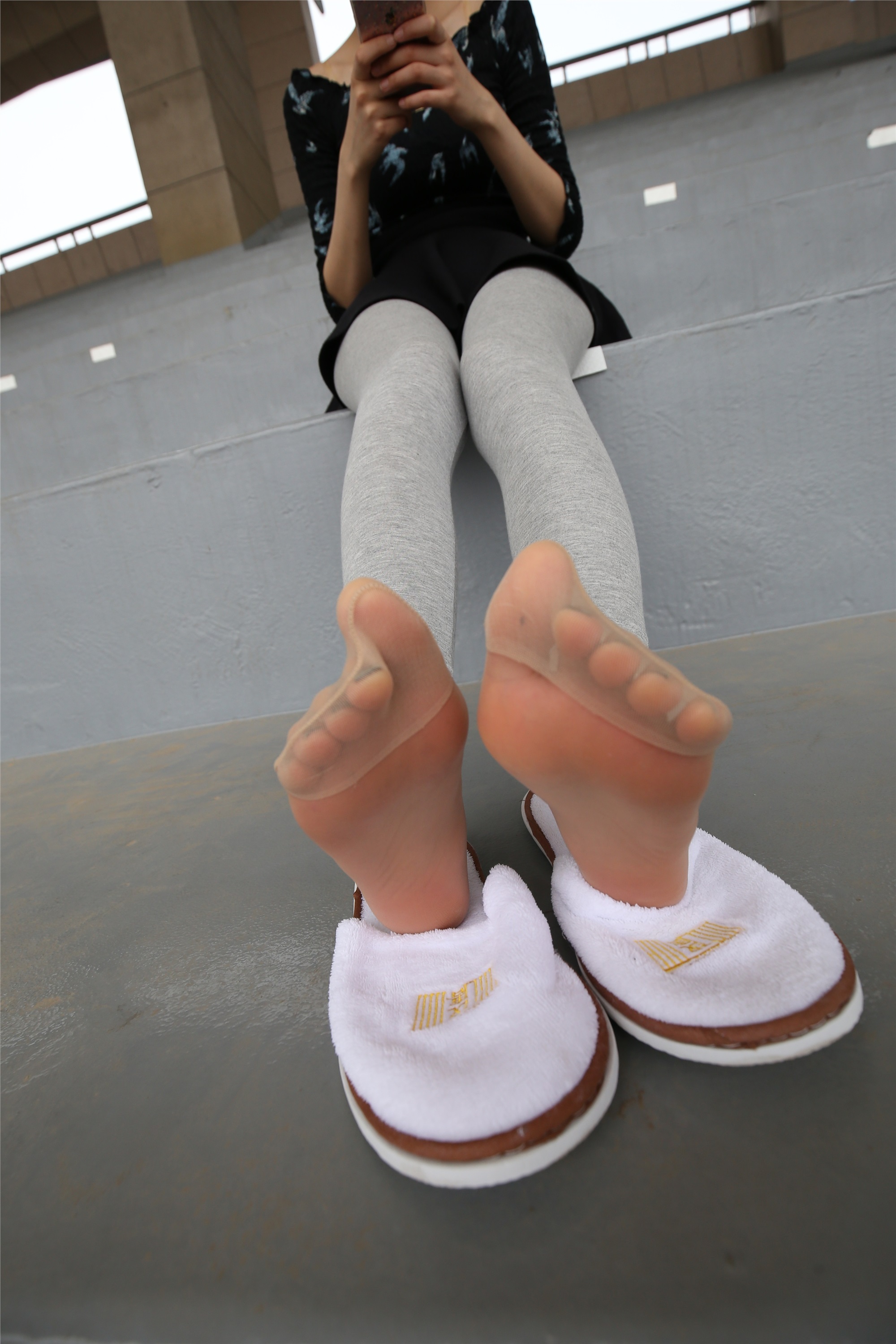 大西瓜美女图片 Z3-6 空姐灰丝459p1