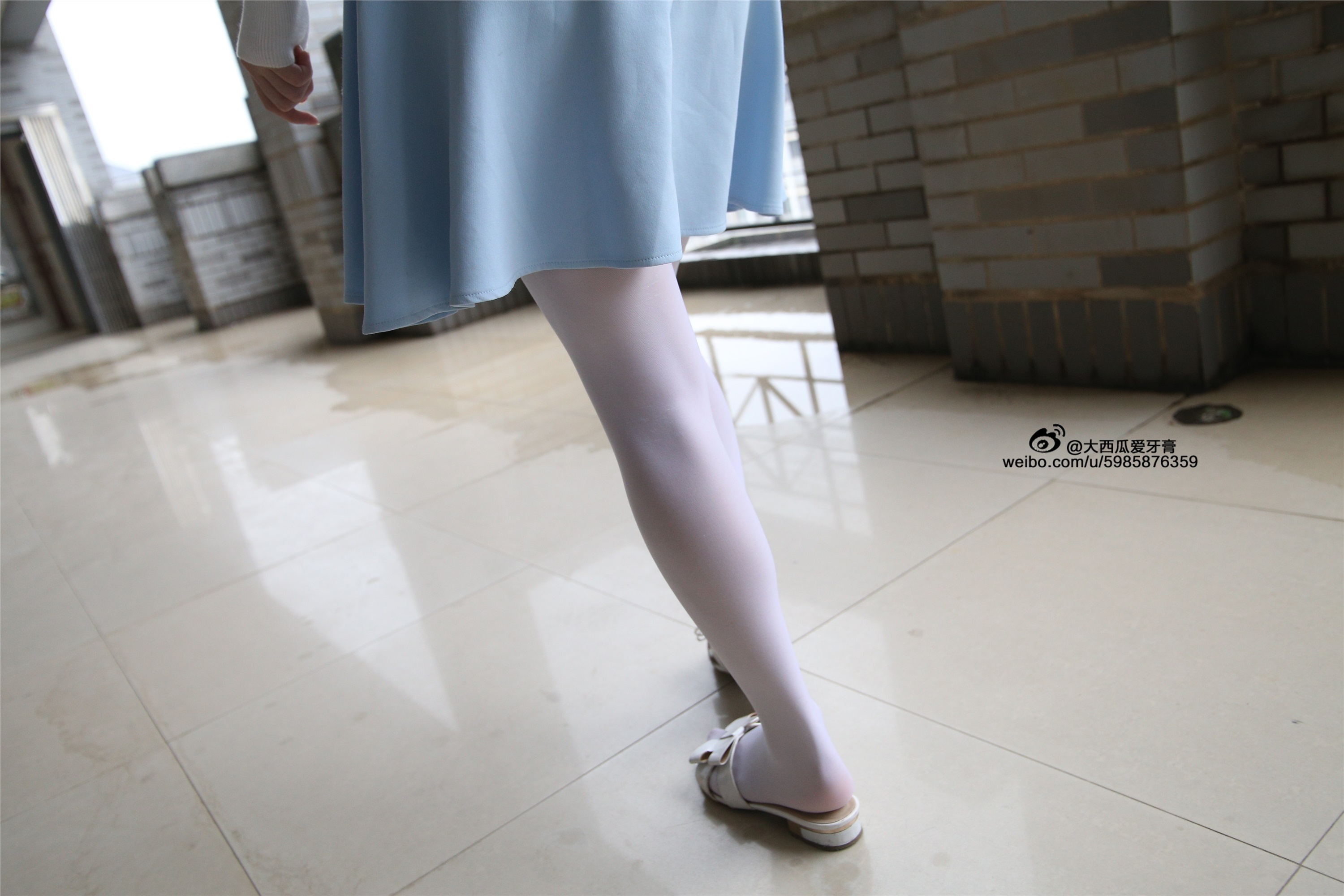 大西瓜美女图片 Z4-1 小蓝裙263p1