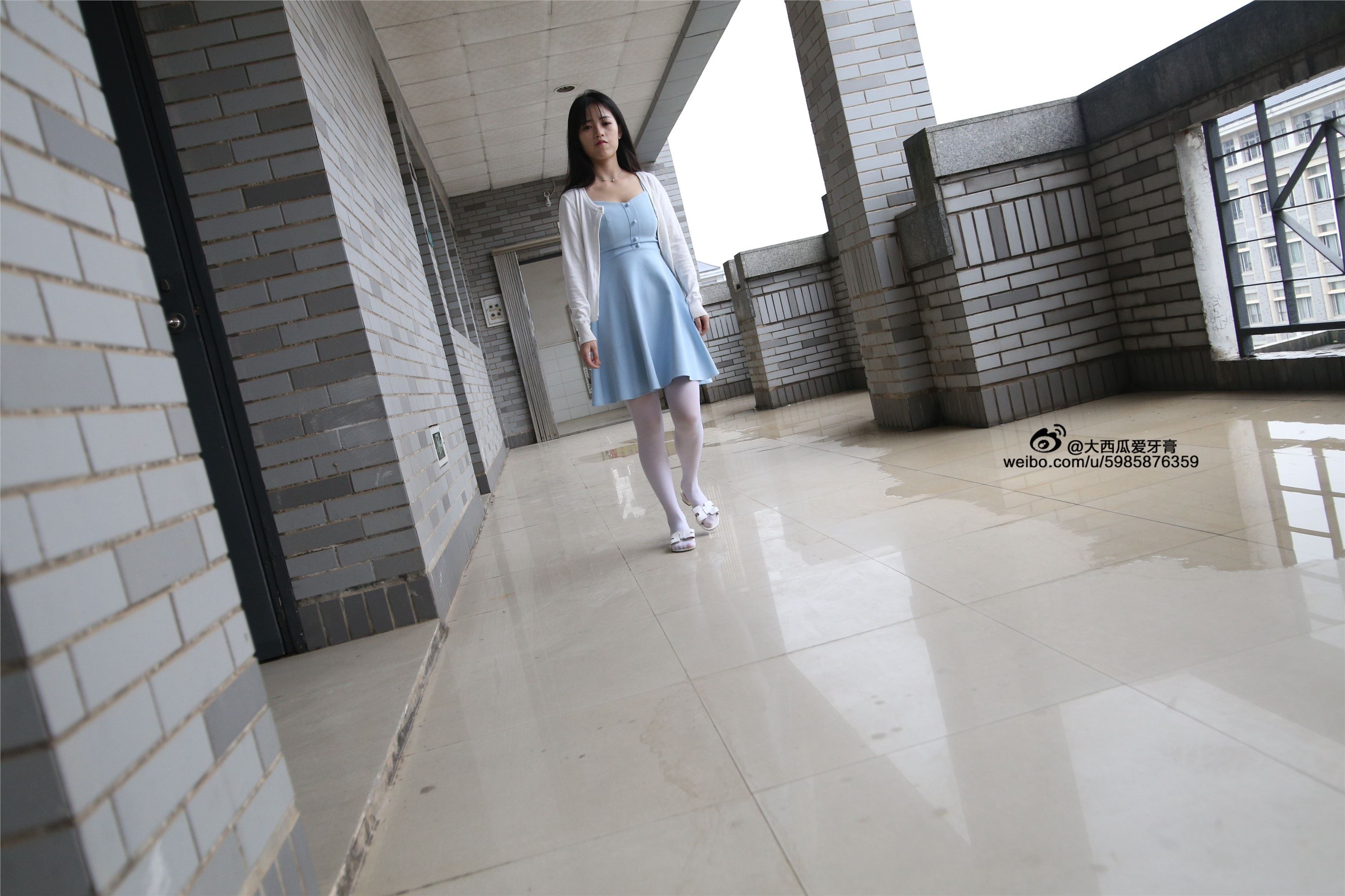 大西瓜美女图片 Z4-1 小蓝裙263p1