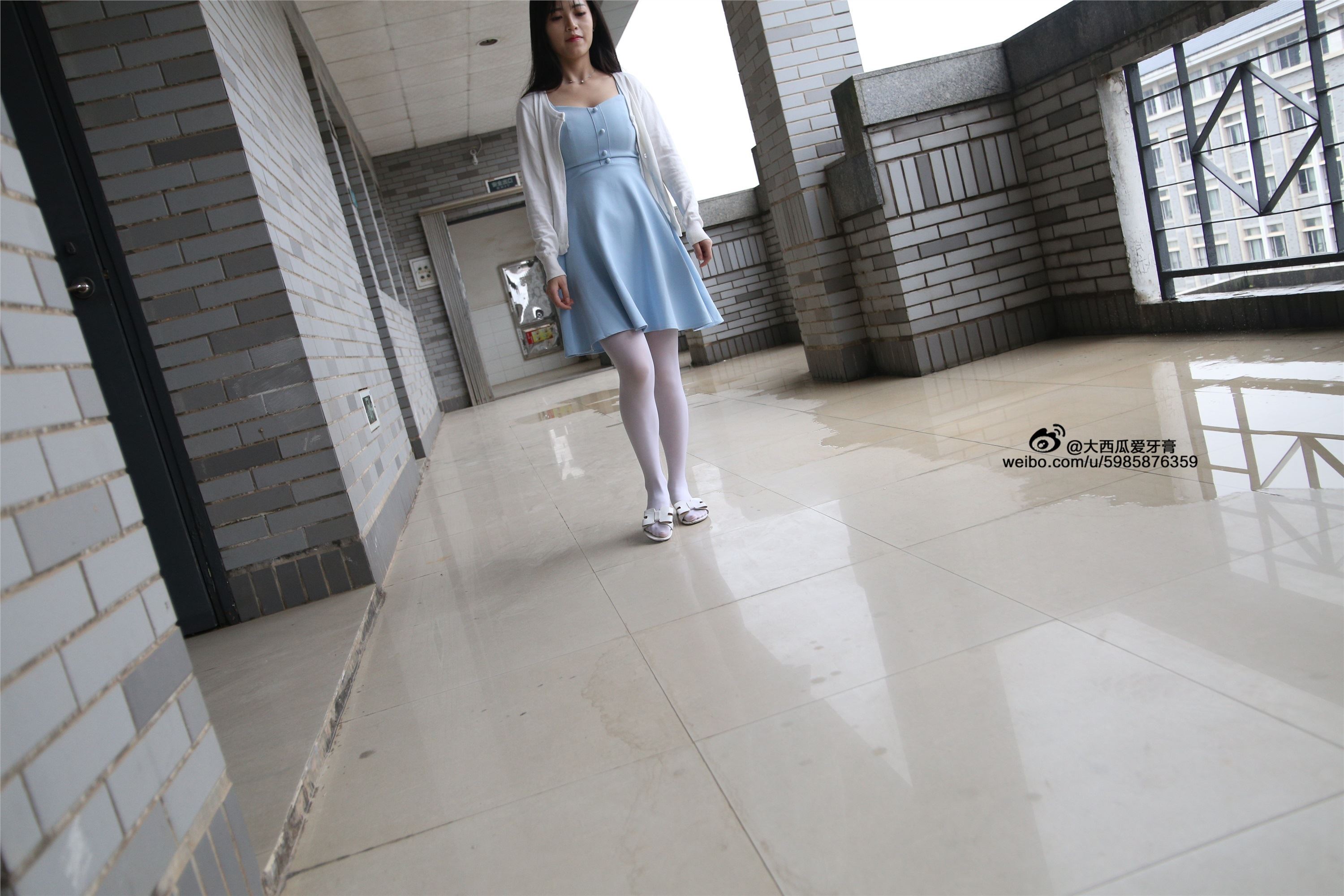 大西瓜美女图片 Z4-1 小蓝裙263p1