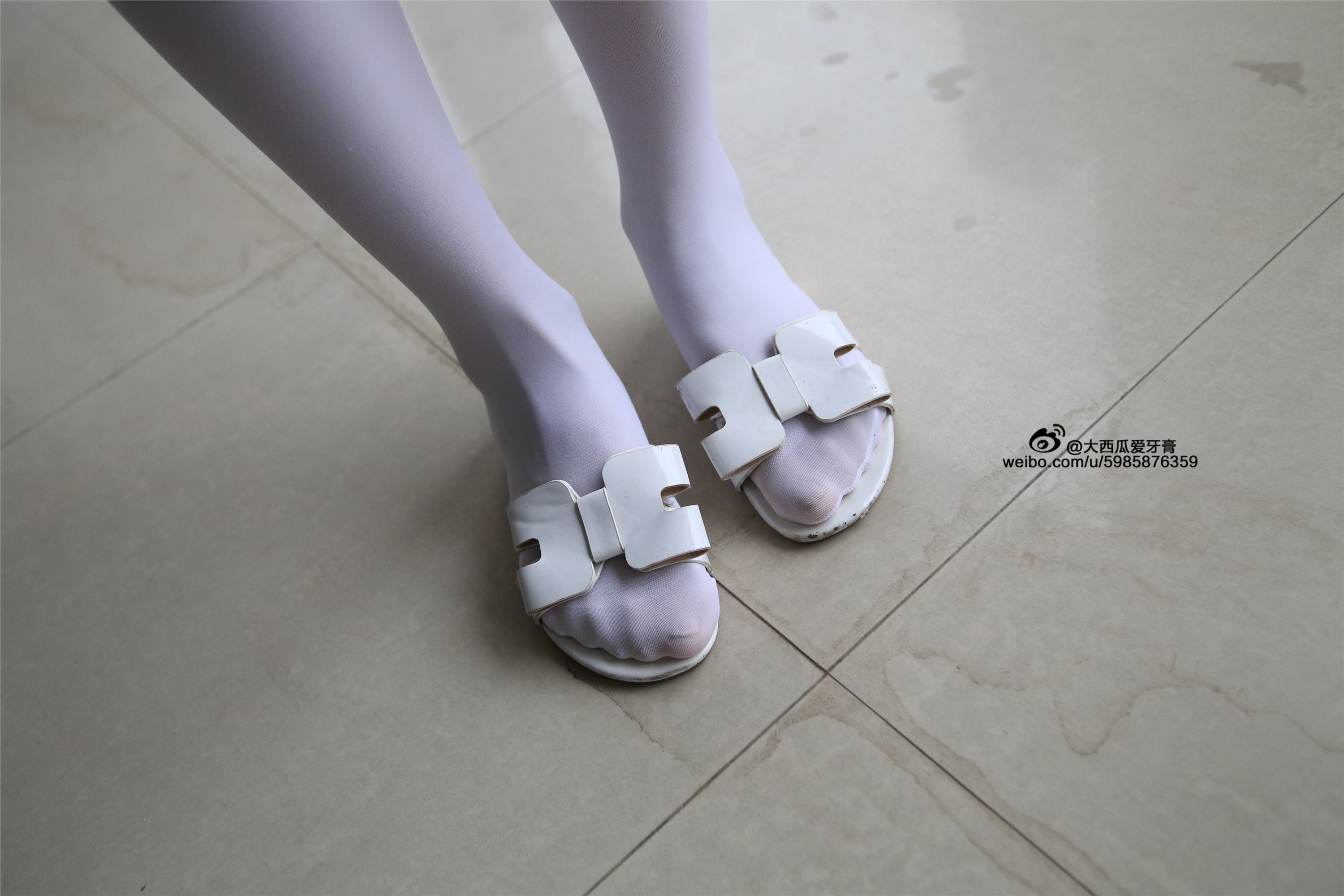 大西瓜美女图片 Z4-1 小蓝裙263p1