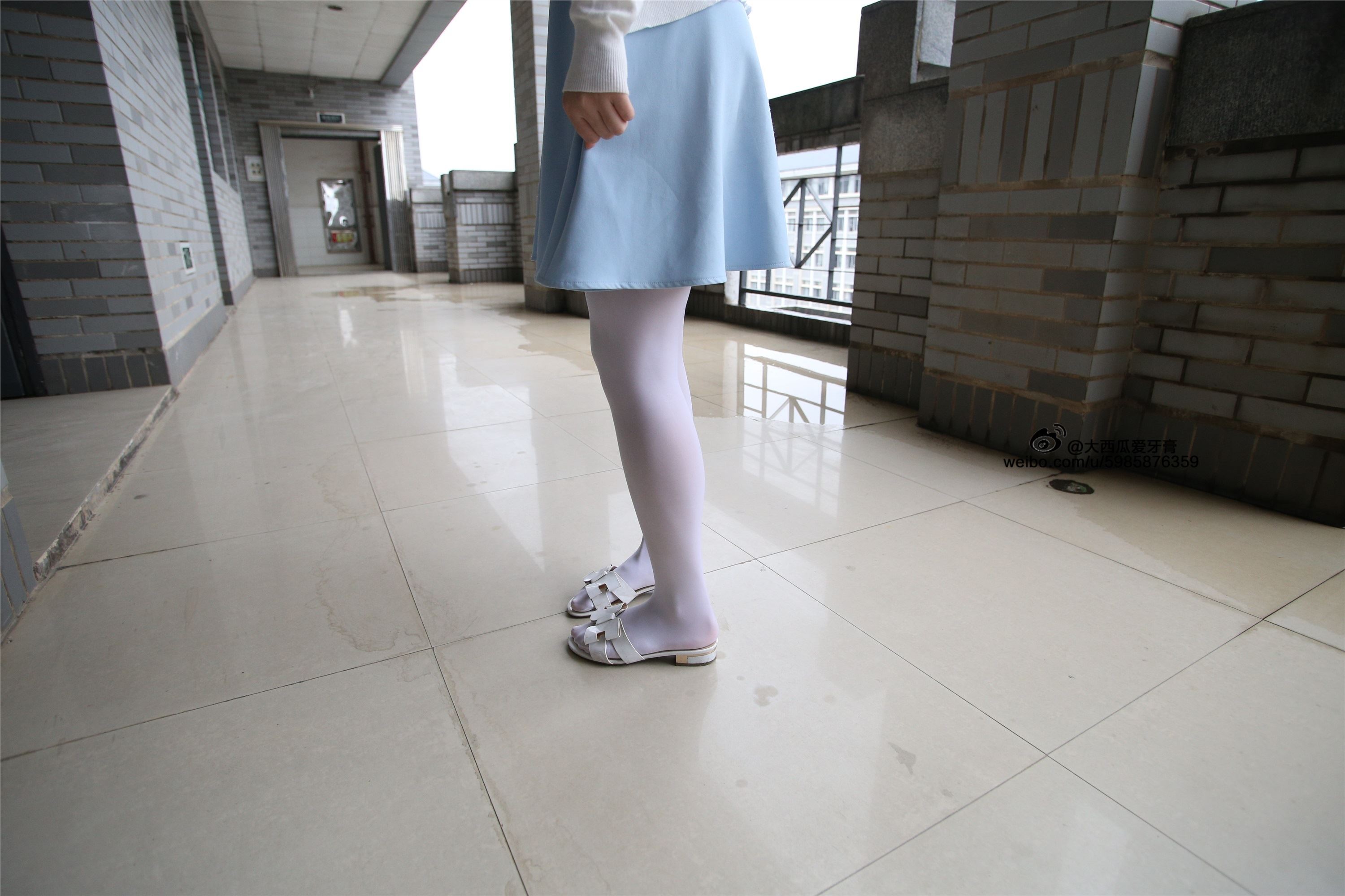 大西瓜美女图片 Z4-1 小蓝裙263p1