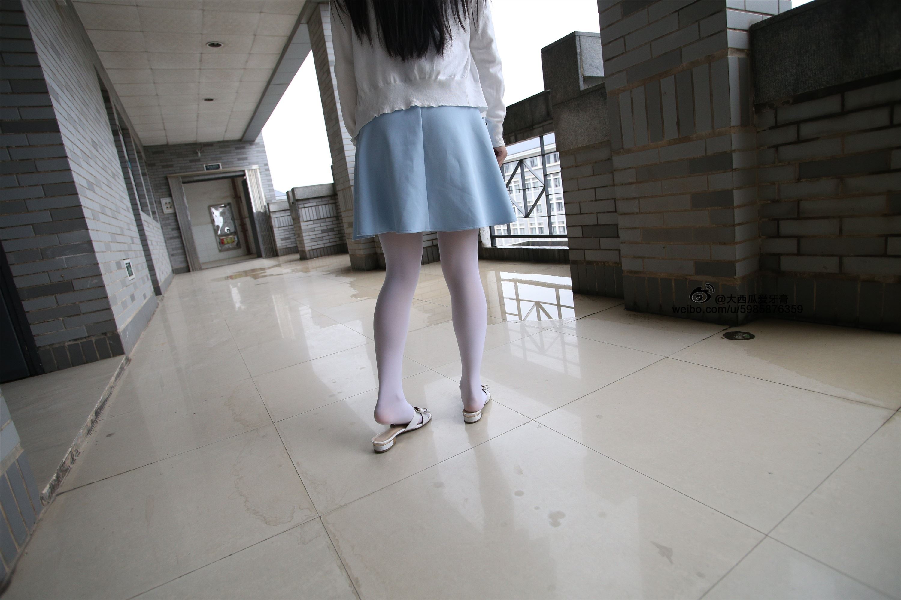 大西瓜美女图片 Z4-1 小蓝裙263p1