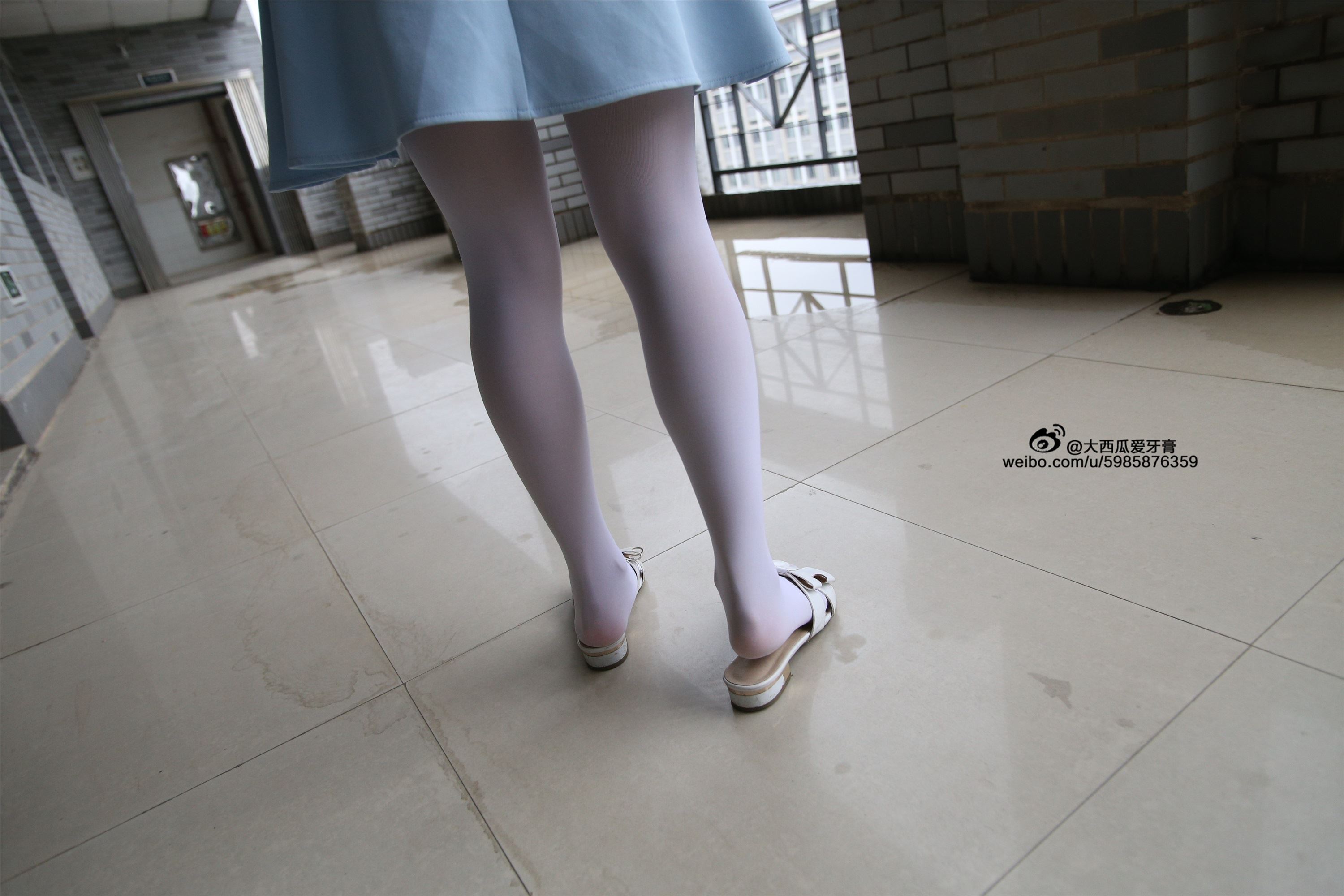 大西瓜美女图片 Z4-1 小蓝裙263p1