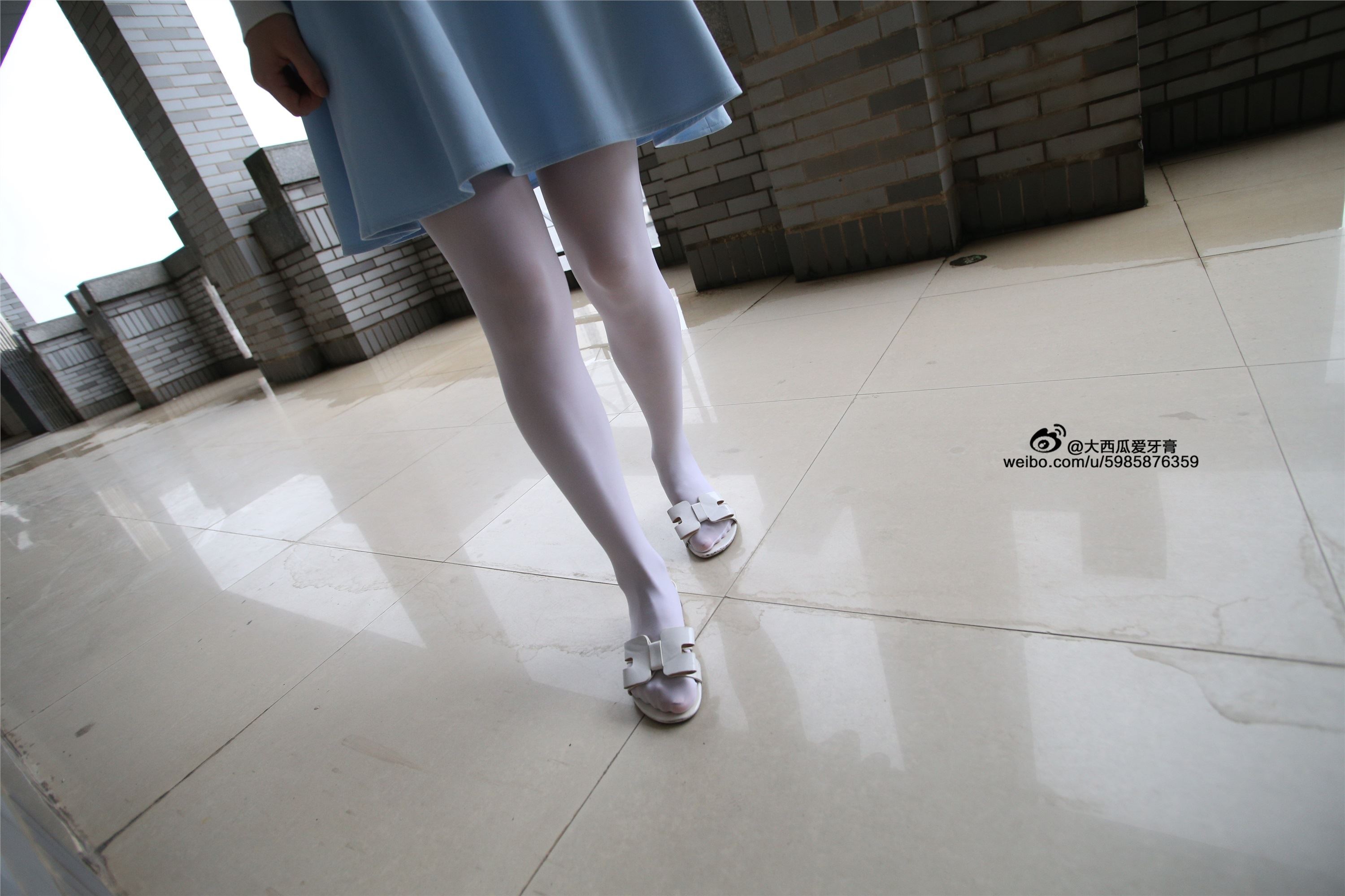 大西瓜美女图片 Z4-1 小蓝裙263p1