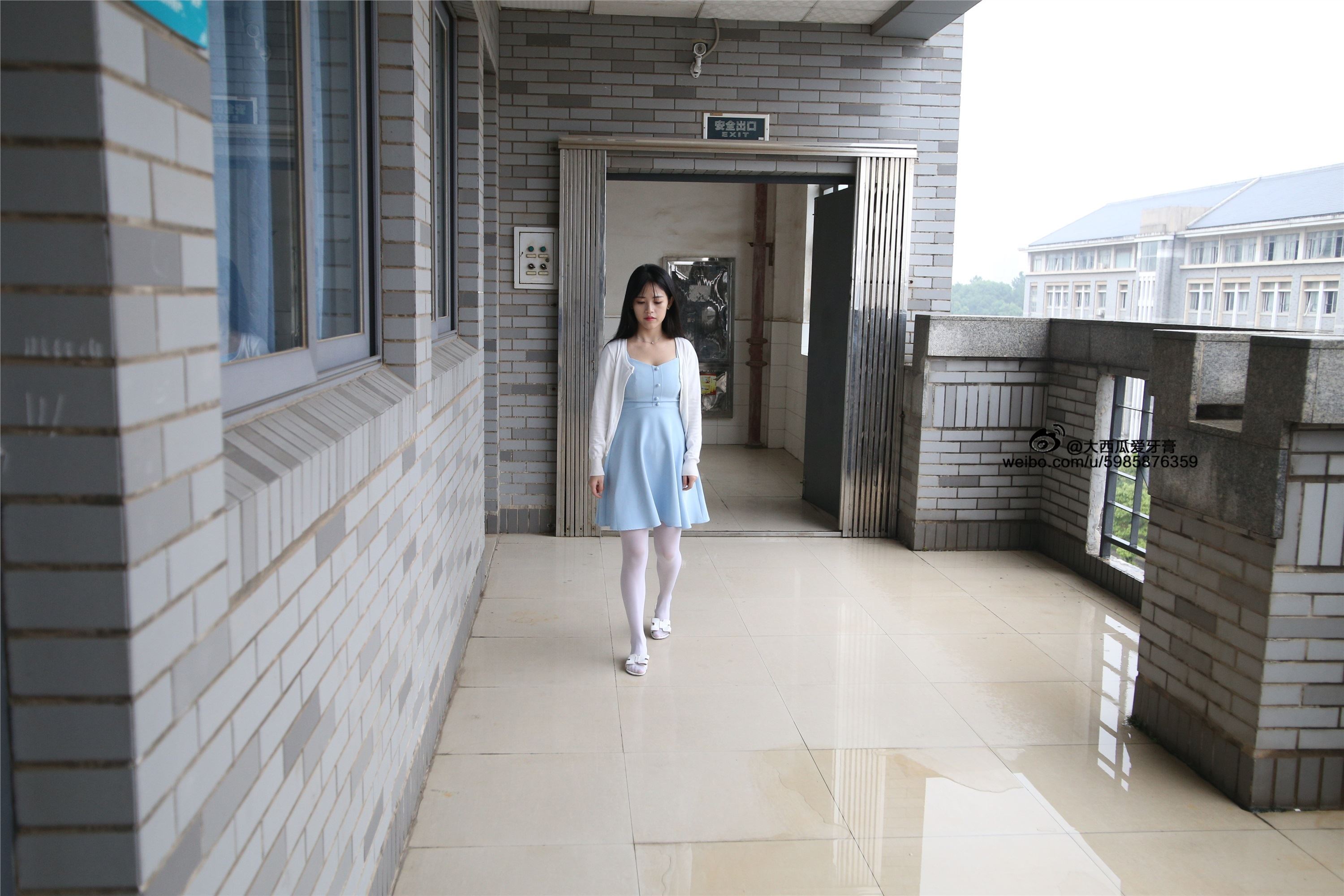 大西瓜美女图片 Z4-1 小蓝裙263p1