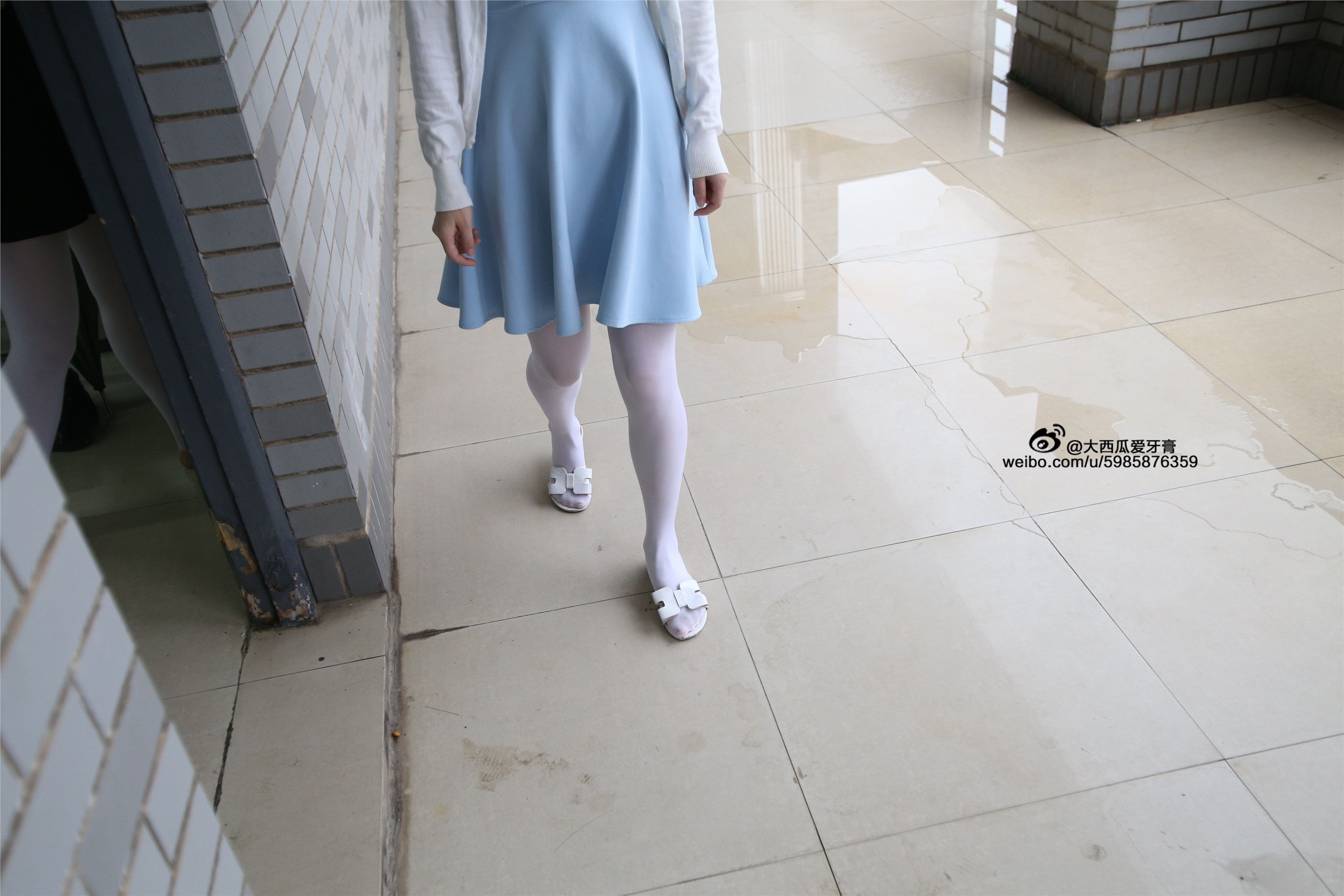 大西瓜美女图片 Z4-1 小蓝裙263p1