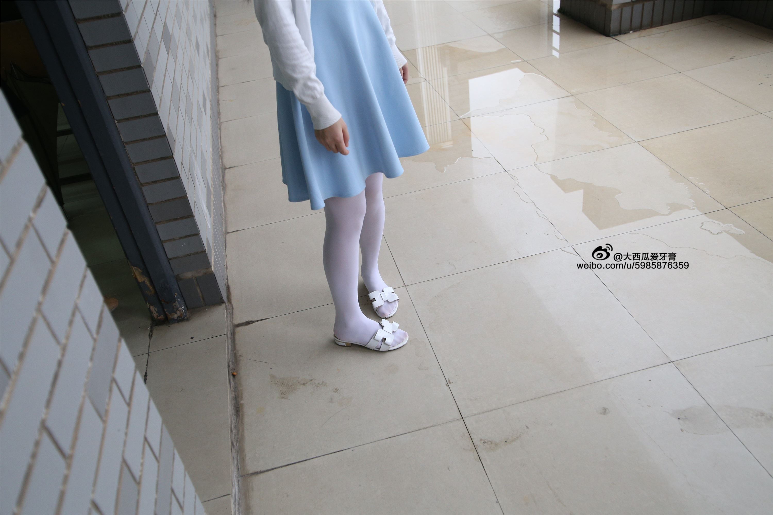 大西瓜美女图片 Z4-1 小蓝裙263p1