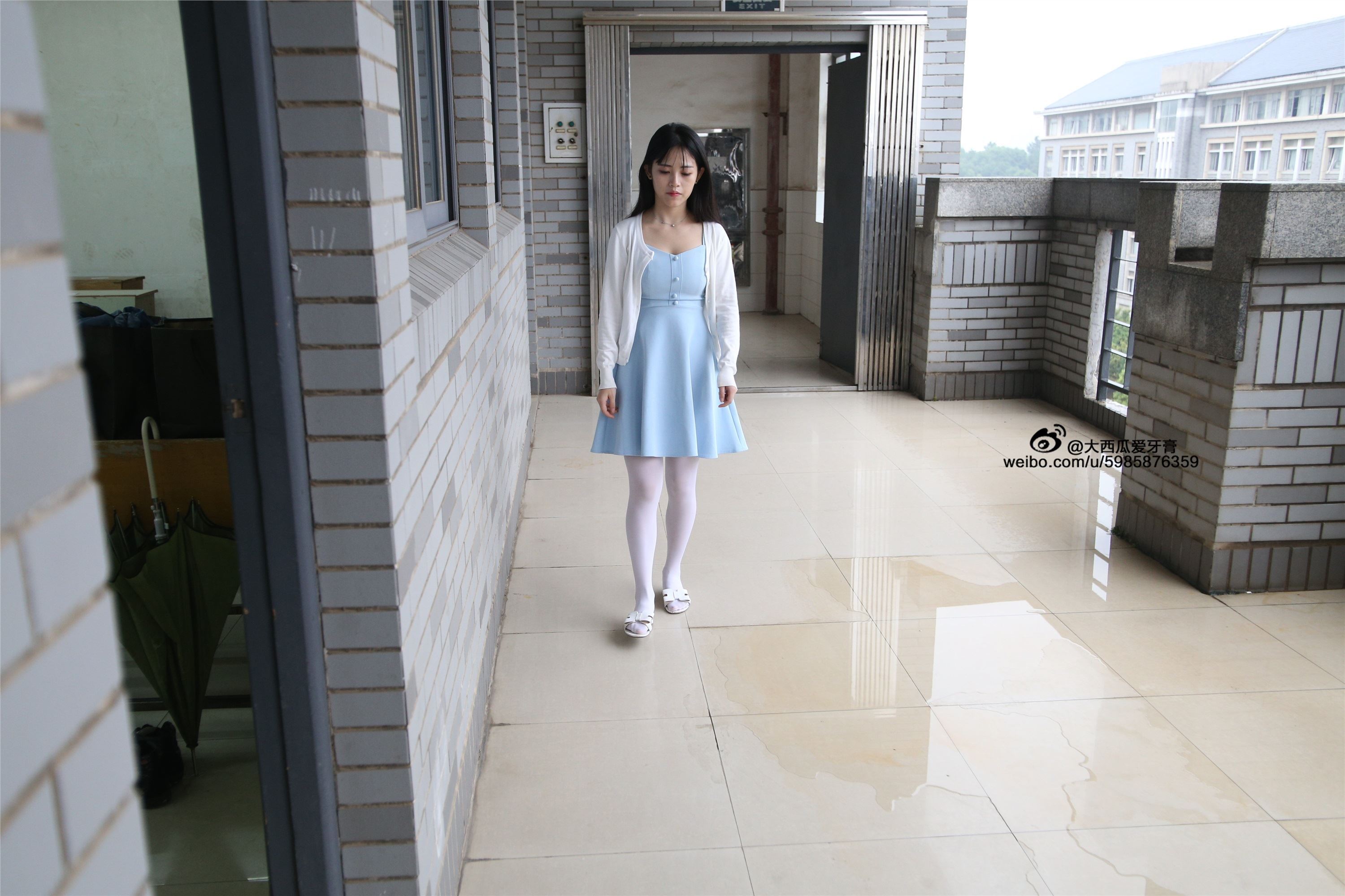 大西瓜美女图片 Z4-1 小蓝裙263p1