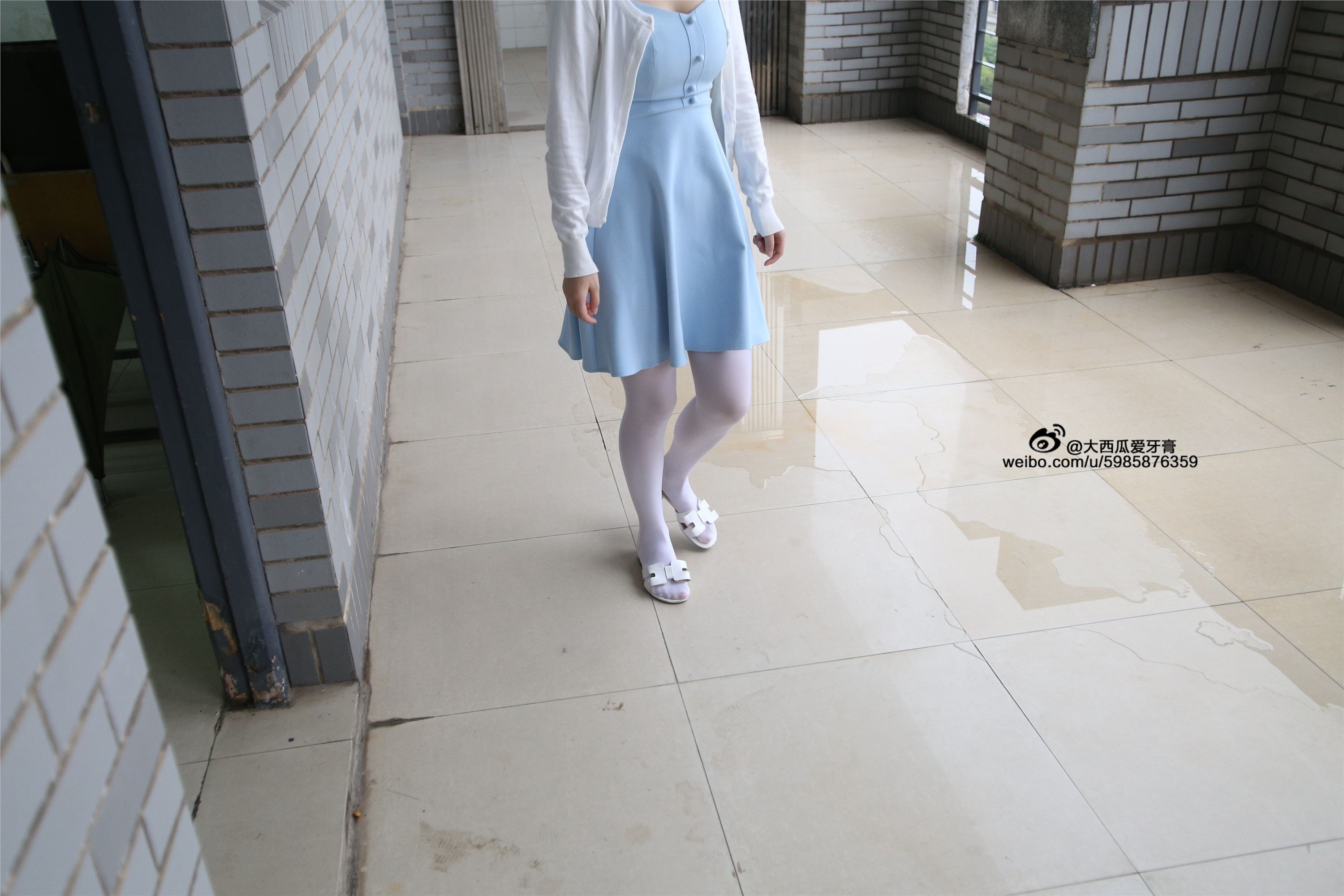 大西瓜美女图片 Z4-1 小蓝裙263p1