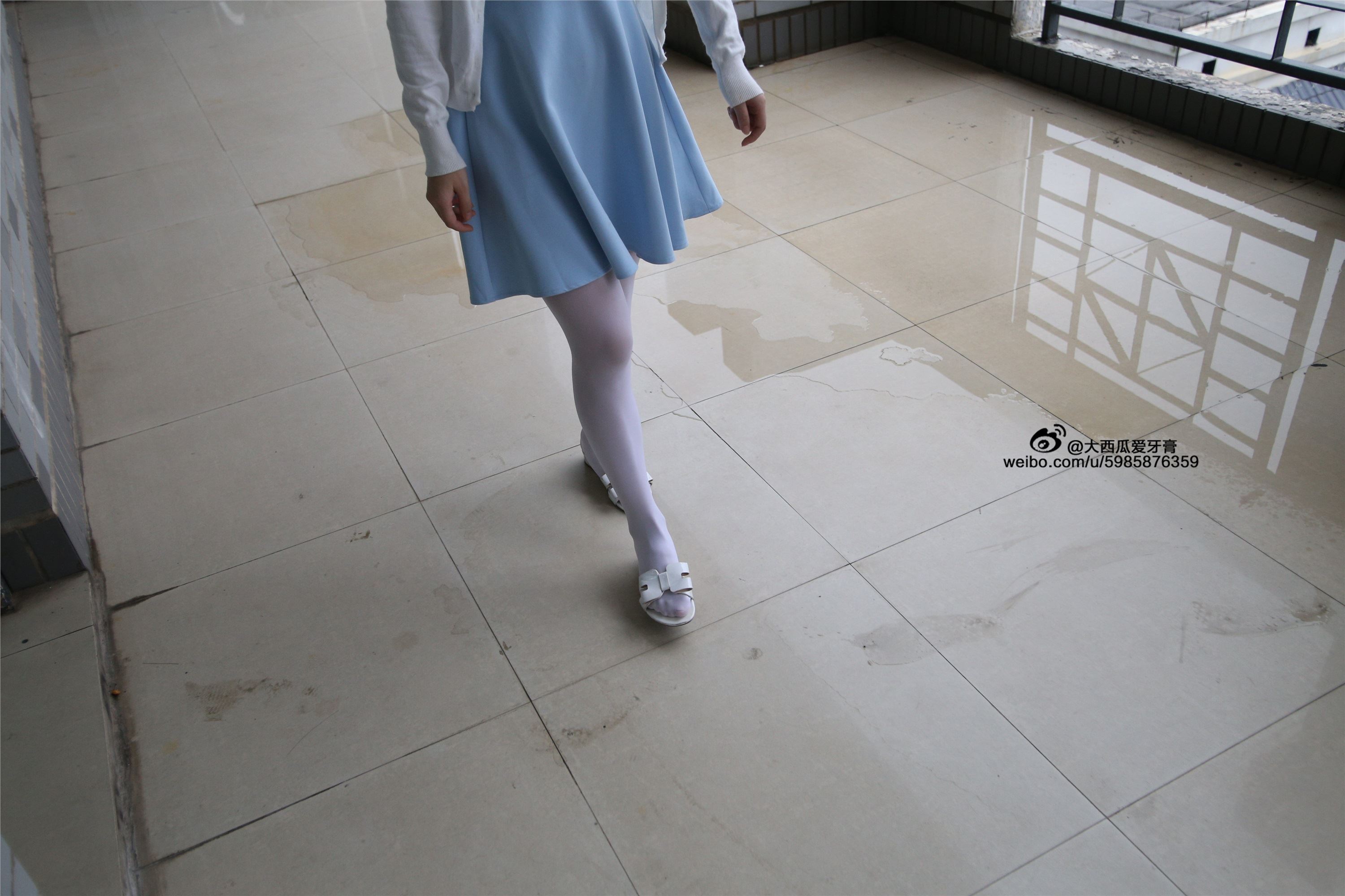 大西瓜美女图片 Z4-1 小蓝裙263p1