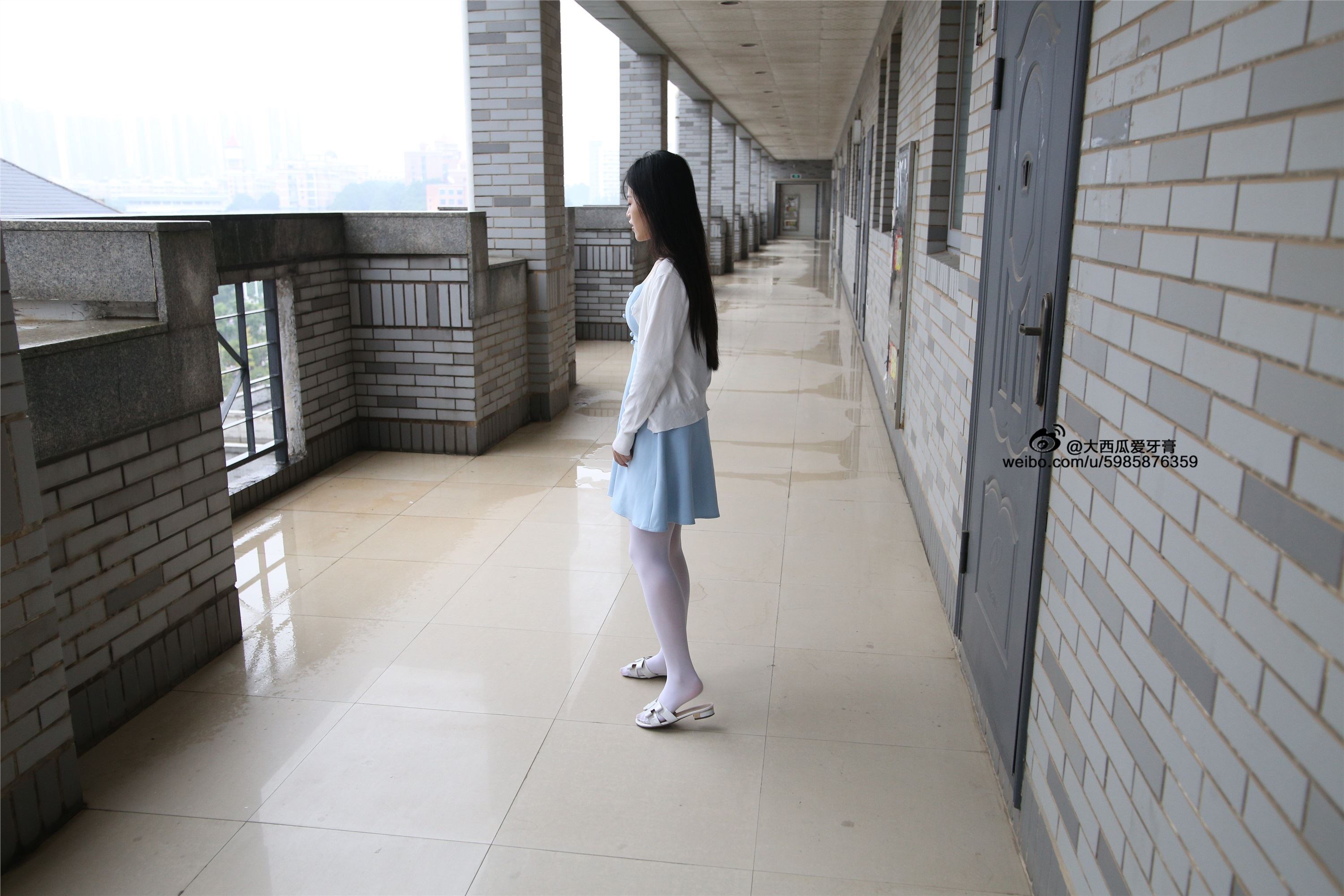 大西瓜美女图片 Z4-1 小蓝裙263p1