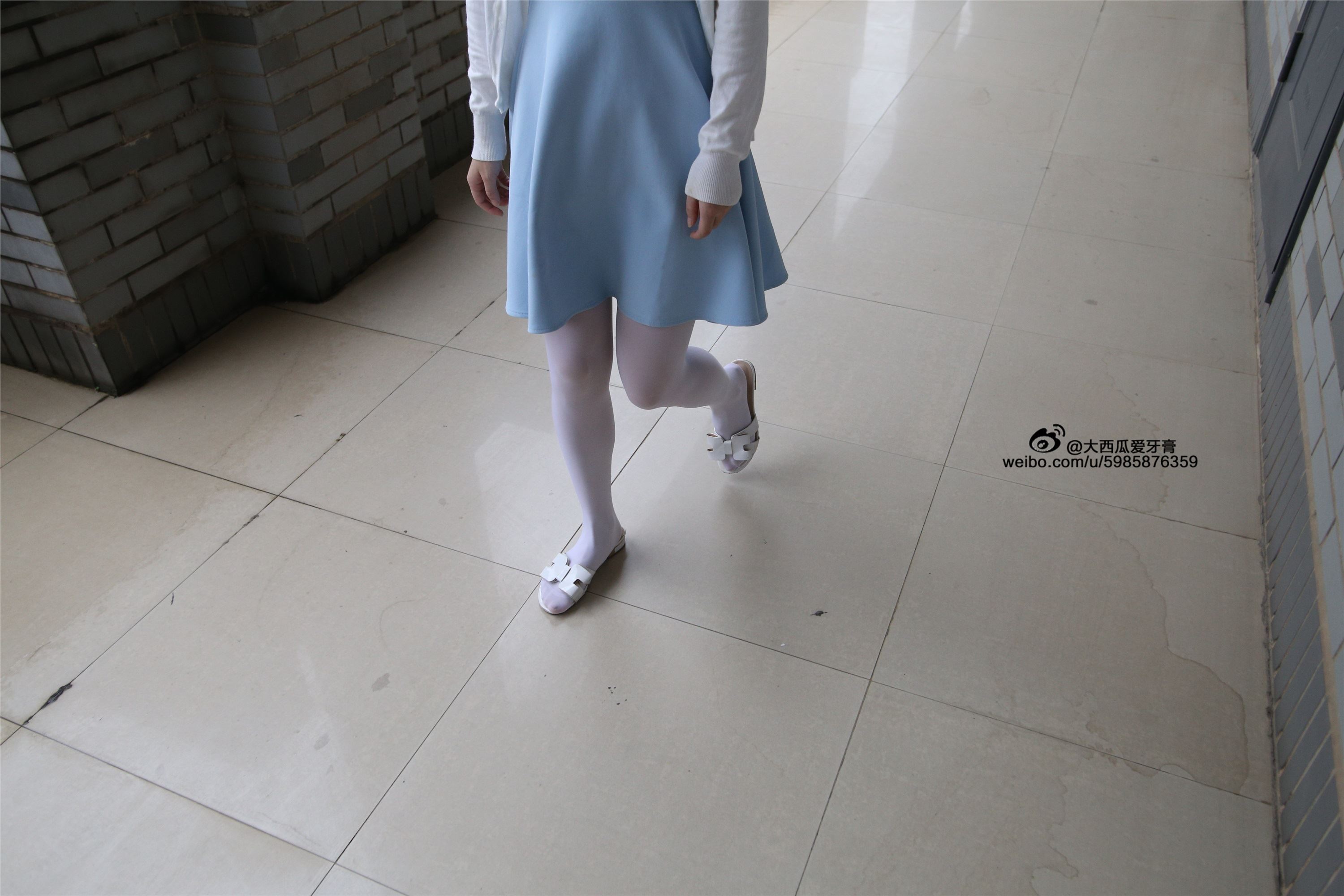 大西瓜美女图片 Z4-1 小蓝裙263p1