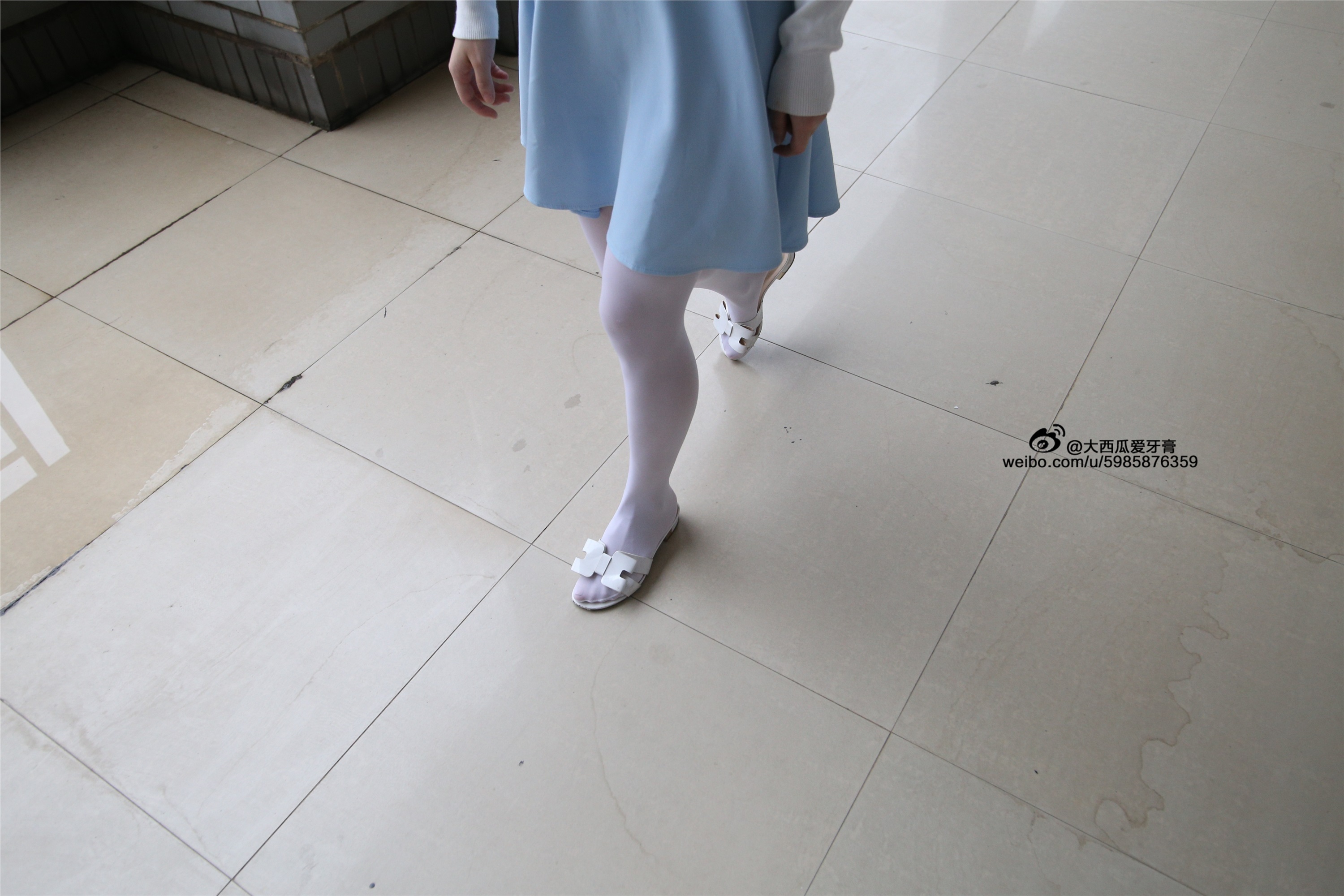 大西瓜美女图片 Z4-1 小蓝裙263p1