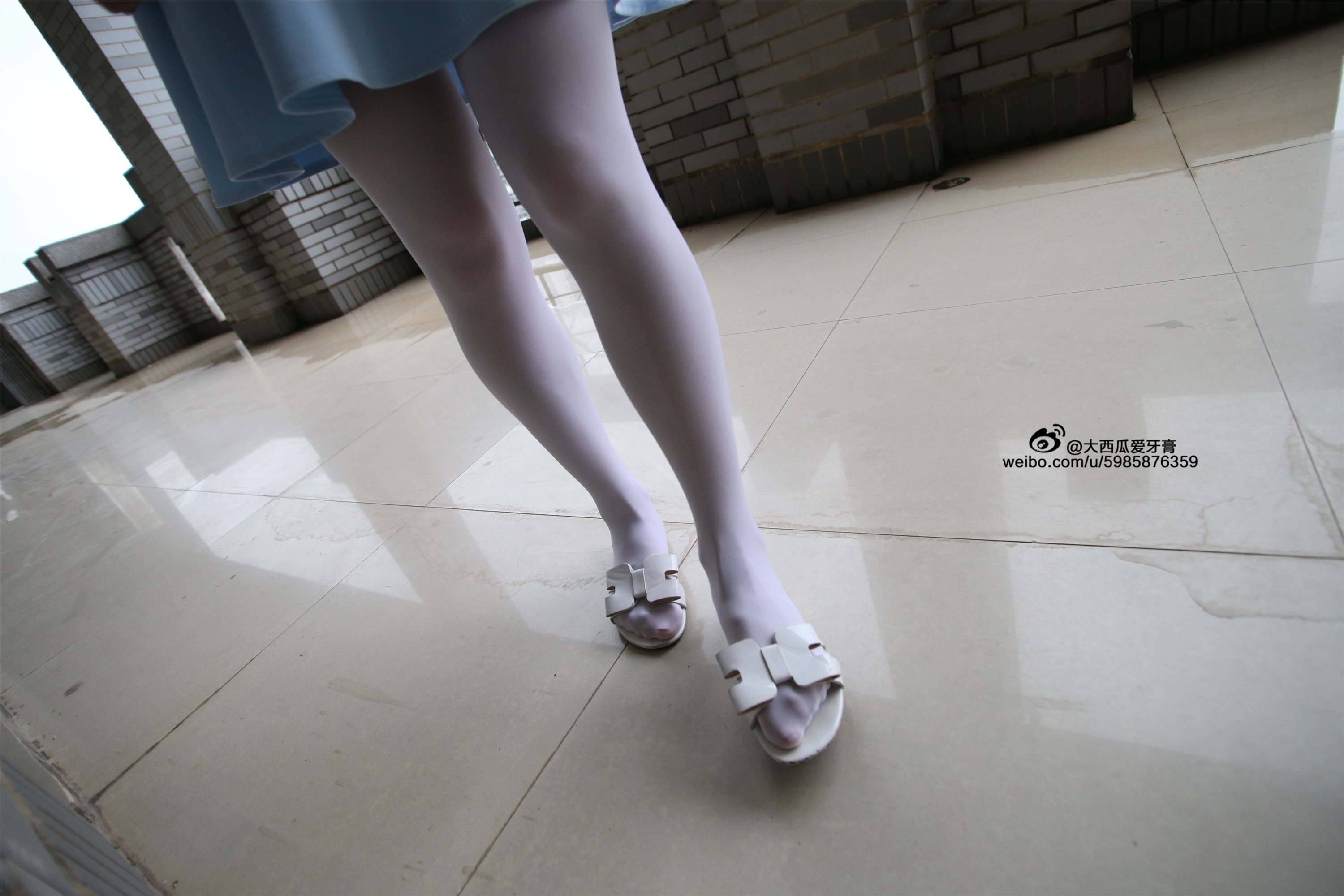 大西瓜美女图片 Z4-1 小蓝裙263p2