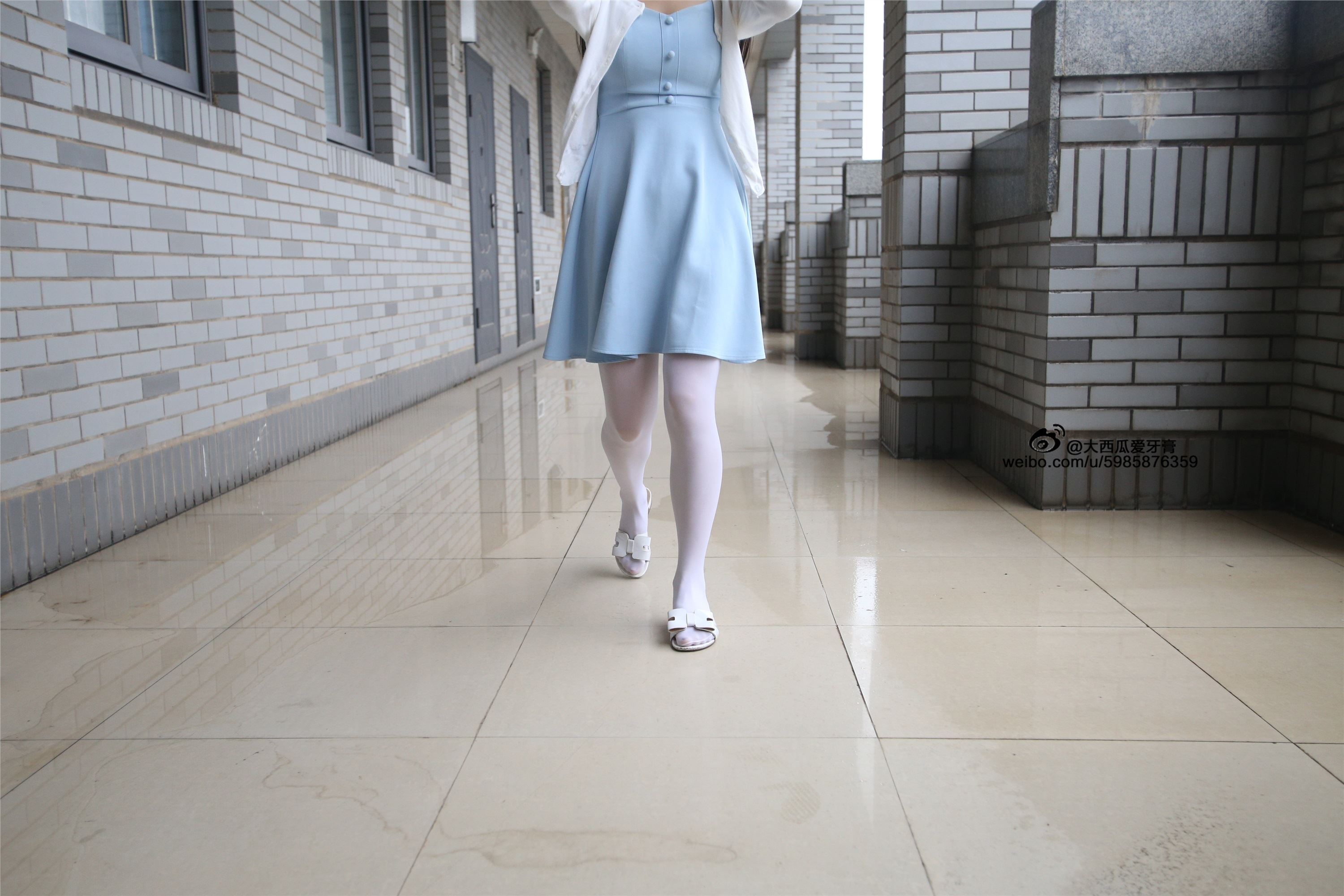 大西瓜美女图片 Z4-1 小蓝裙263p2