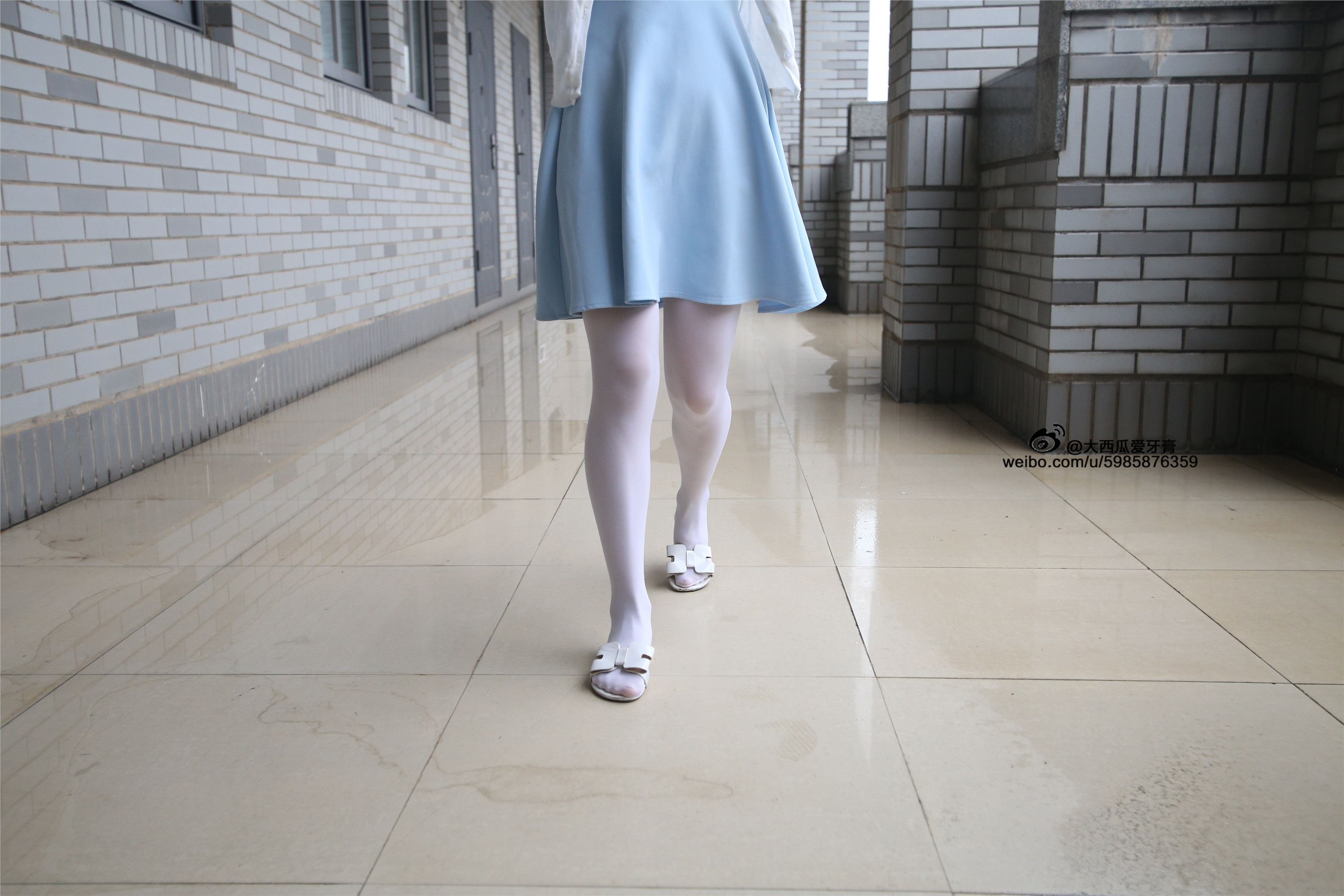 大西瓜美女图片 Z4-1 小蓝裙263p2