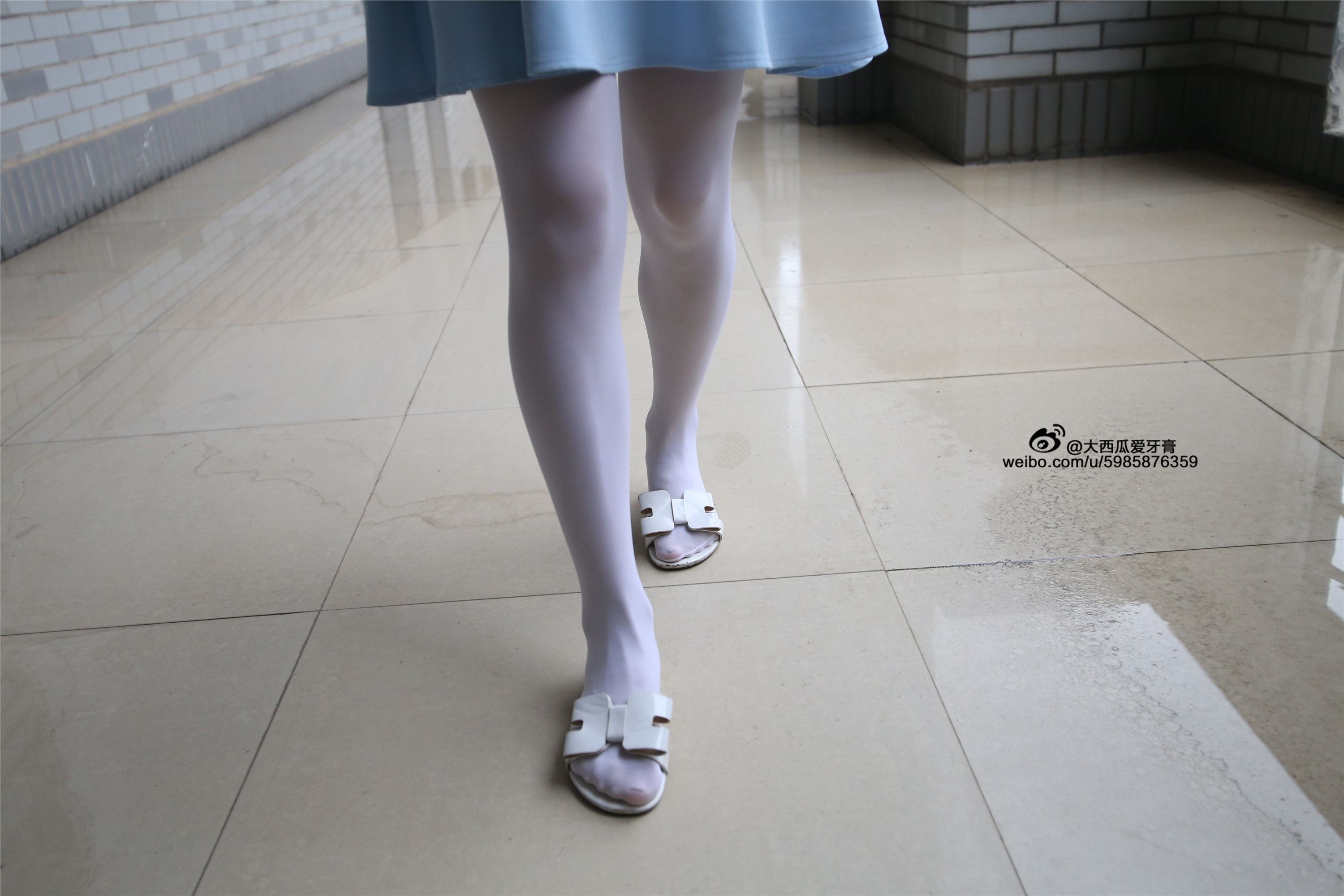 大西瓜美女图片 Z4-1 小蓝裙263p2