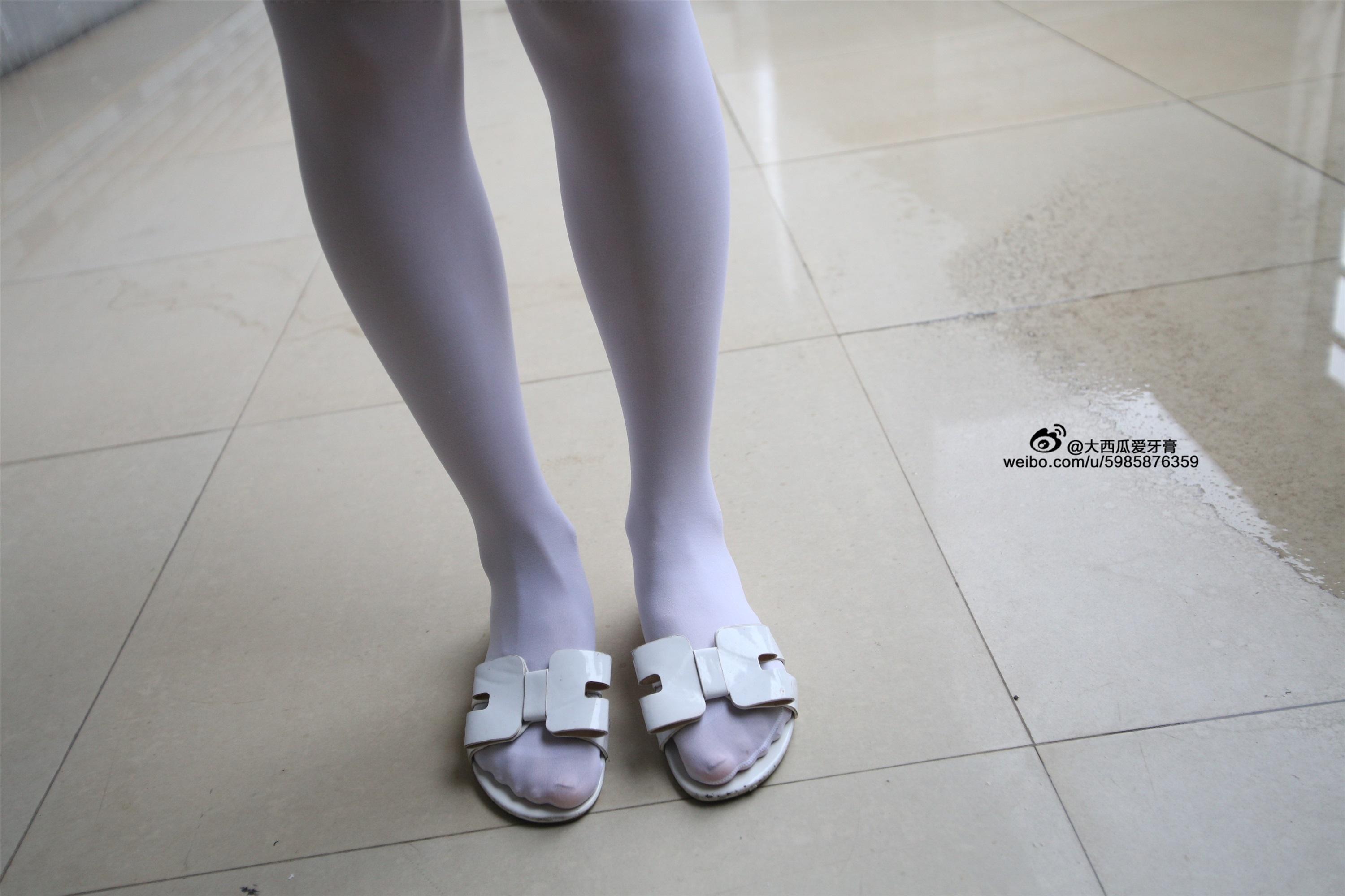 大西瓜美女图片 Z4-1 小蓝裙263p2