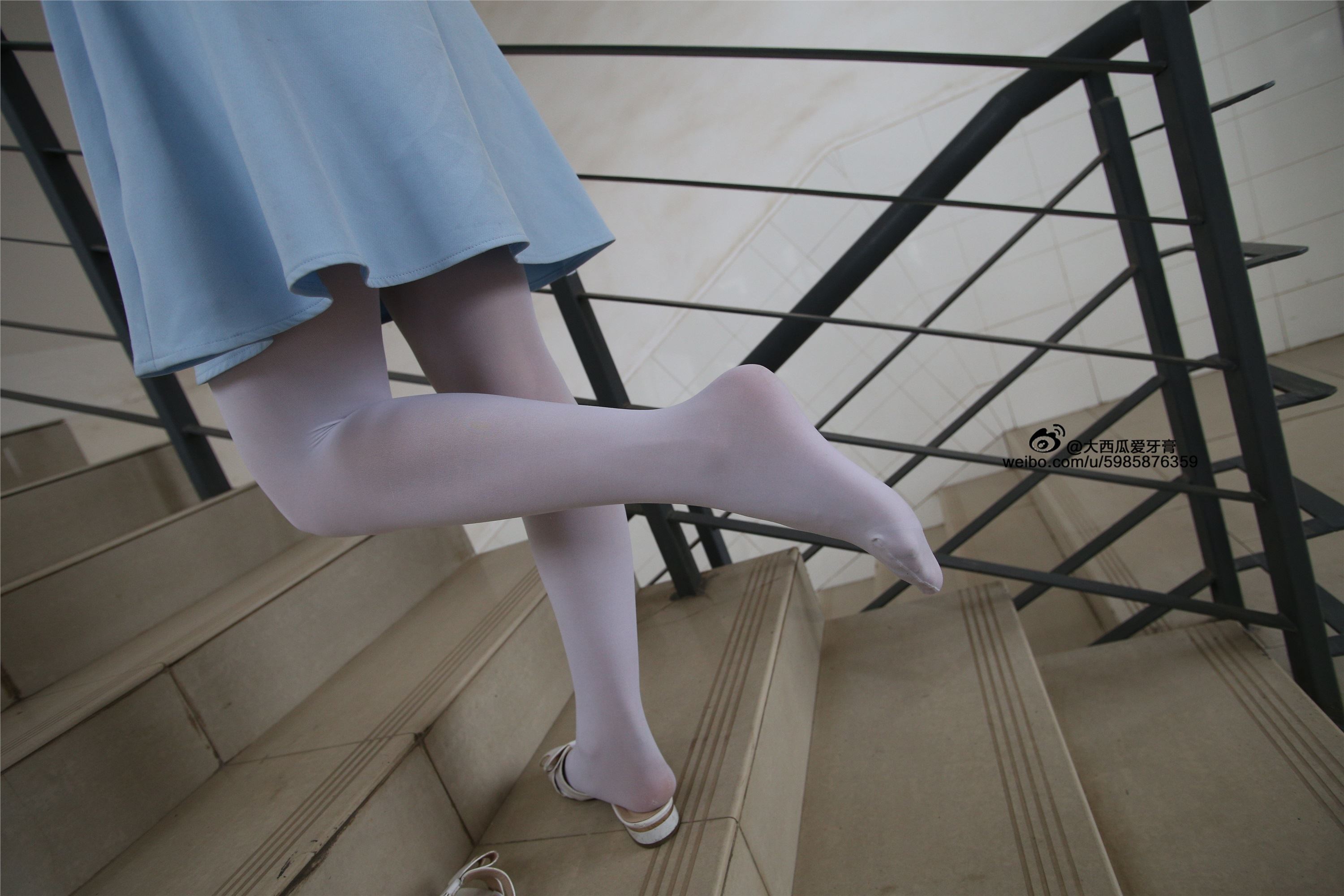 大西瓜美女图片 Z4-1 小蓝裙263p2