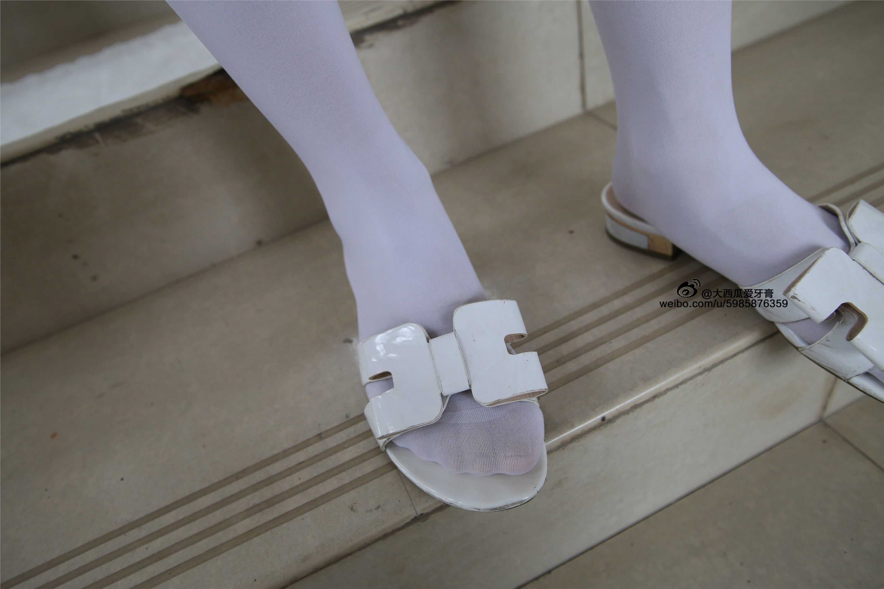 大西瓜美女图片 Z4-1 小蓝裙263p2