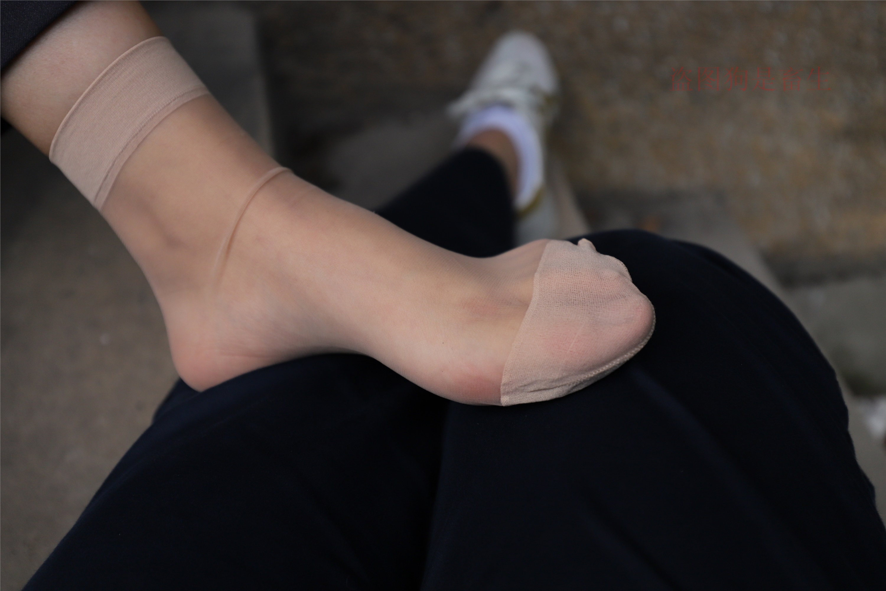 大西瓜美女图片 Z5-1 制服短si 435p2