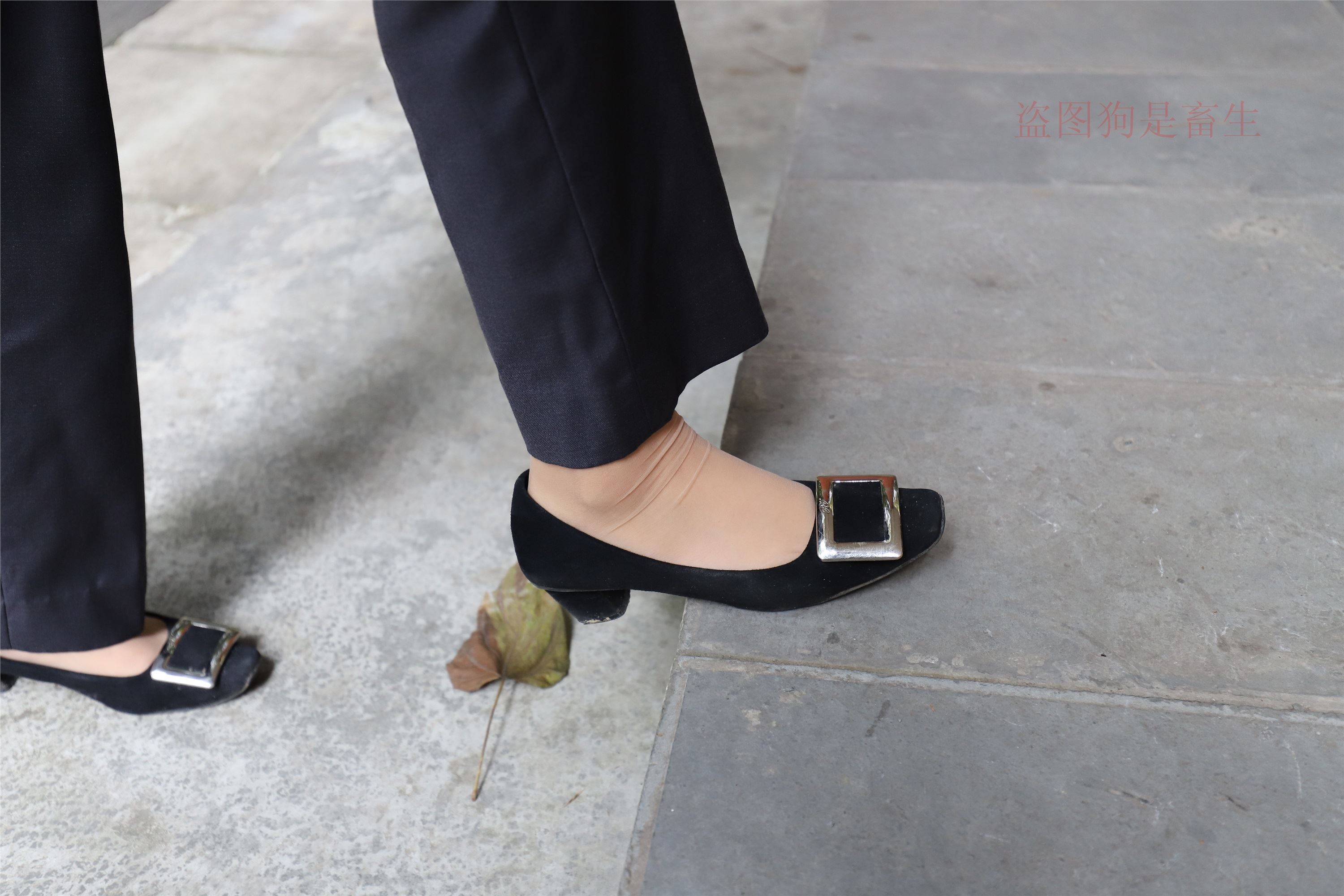 大西瓜美女图片 Z5-1 制服短si 435p2