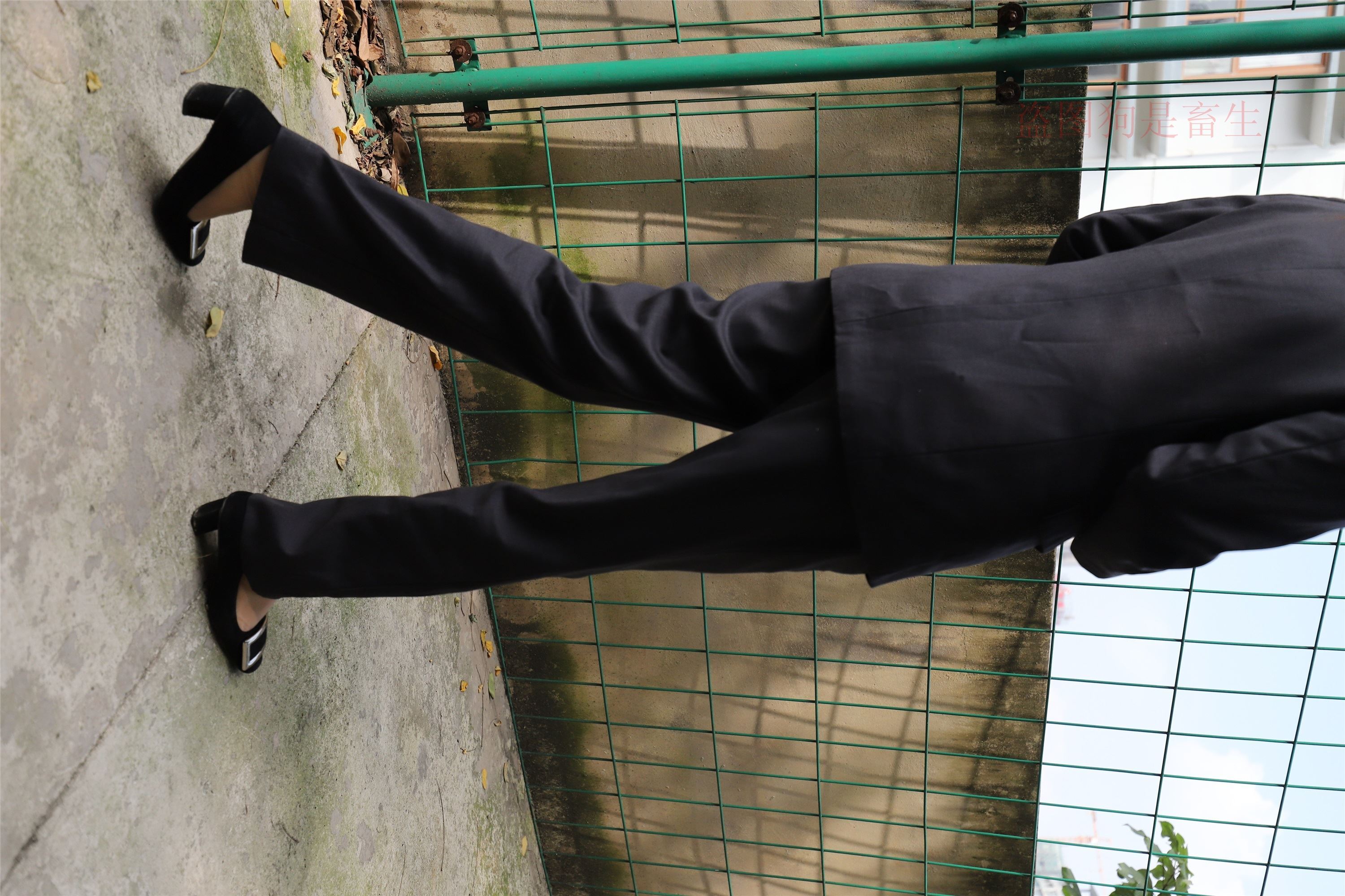 大西瓜美女图片 Z5-1 制服短si 435p2