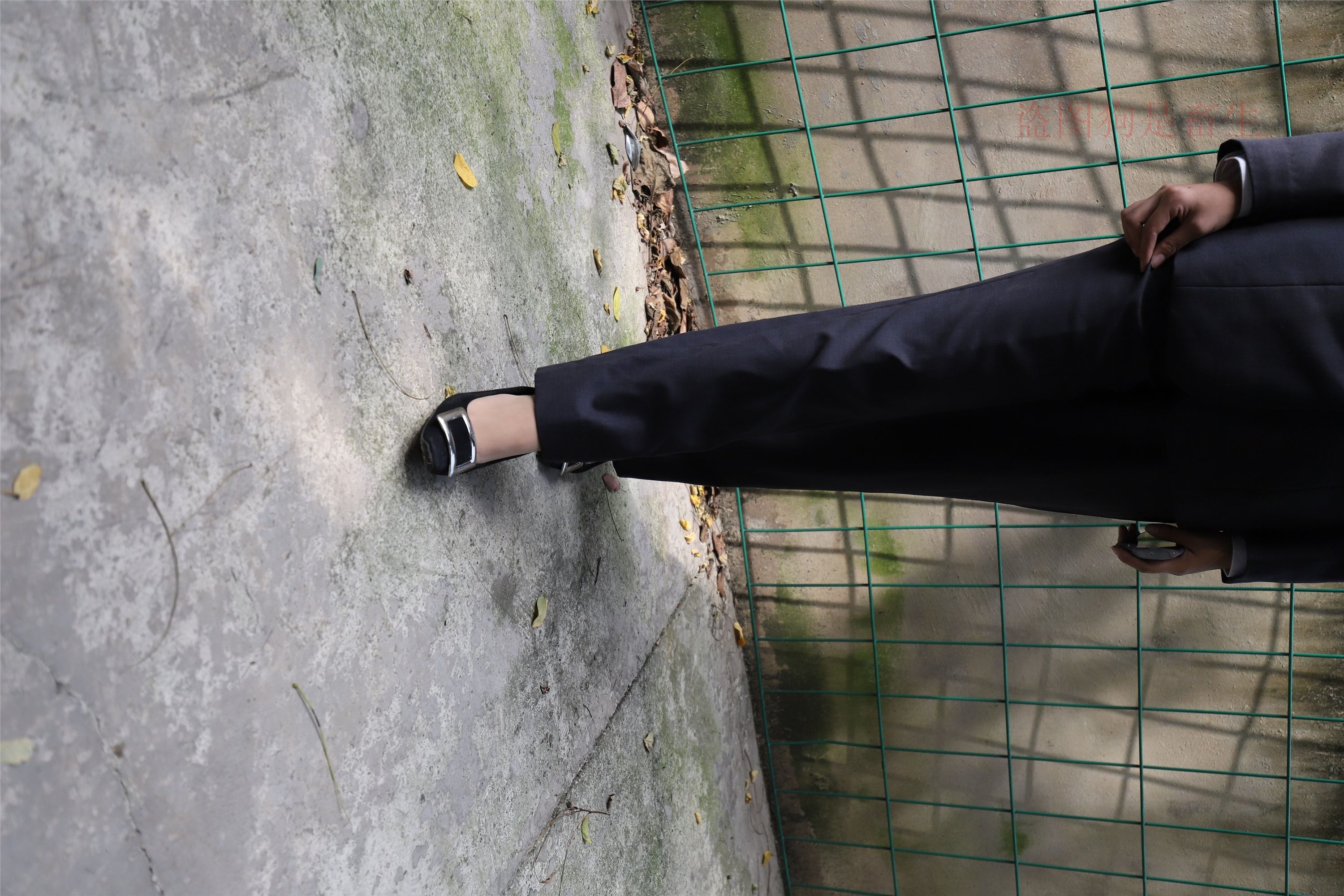 大西瓜美女图片 Z5-1 制服短si 435p2