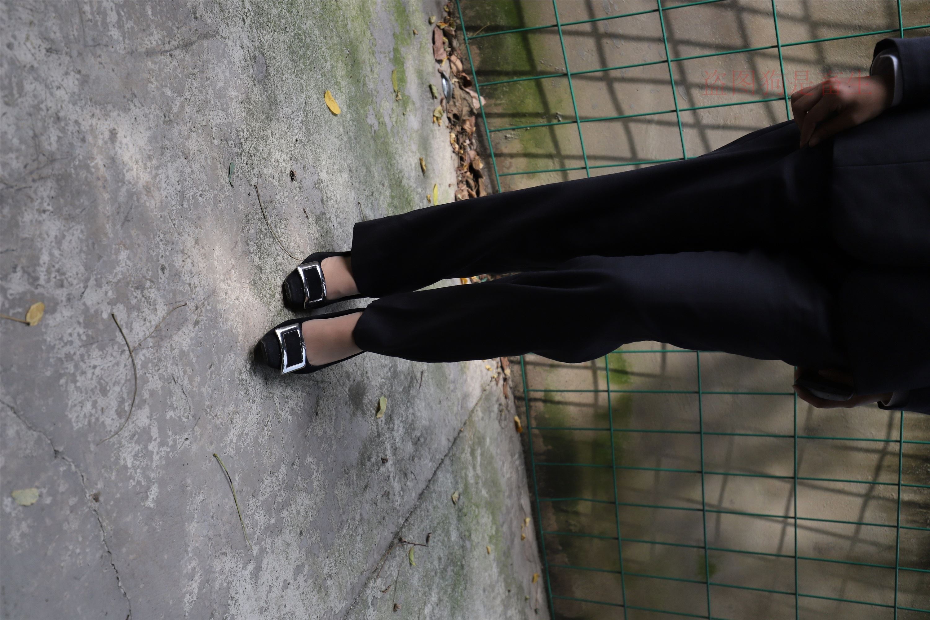 大西瓜美女图片 Z5-1 制服短si 435p2