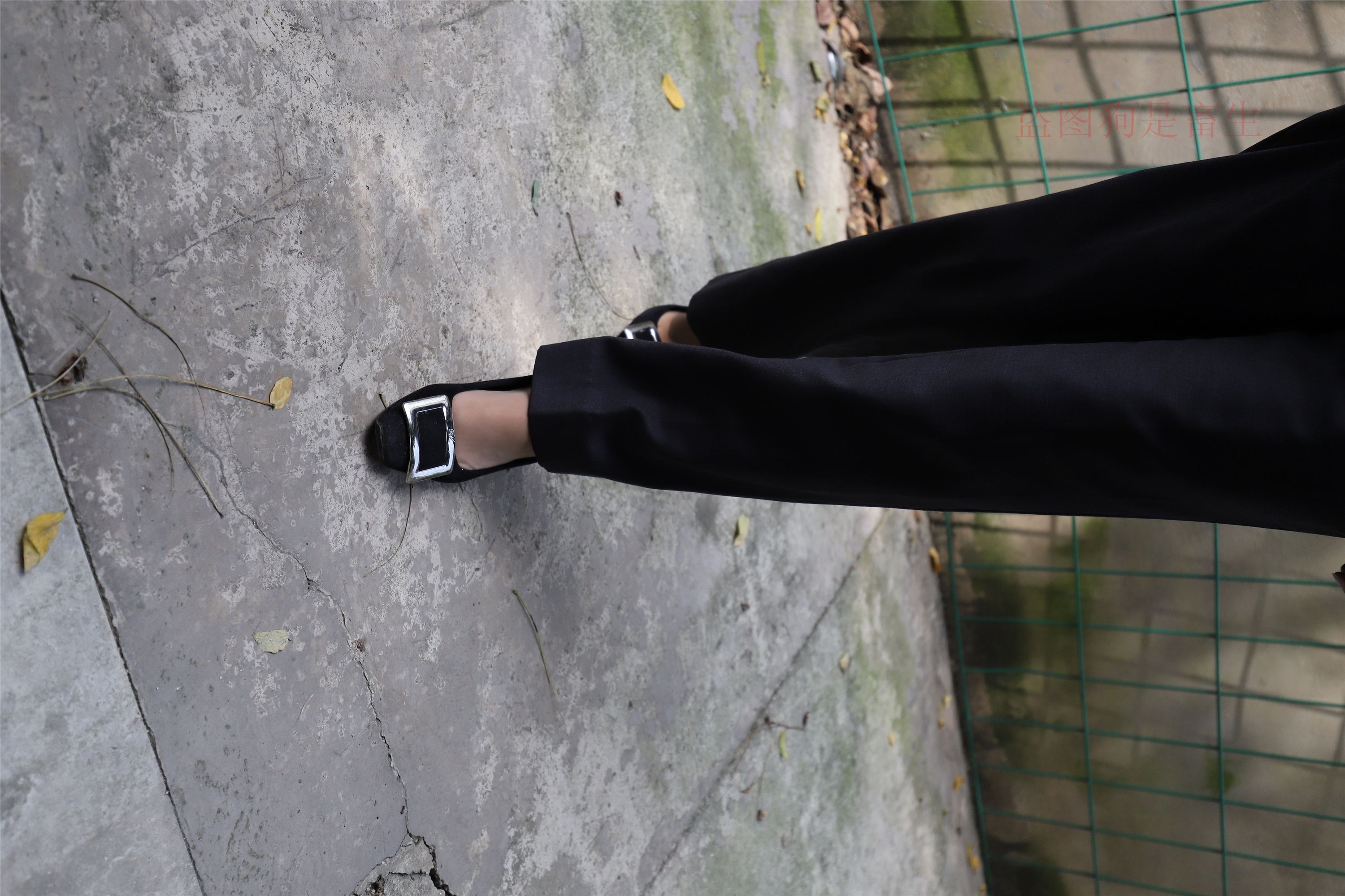 大西瓜美女图片 Z5-1 制服短si 435p2