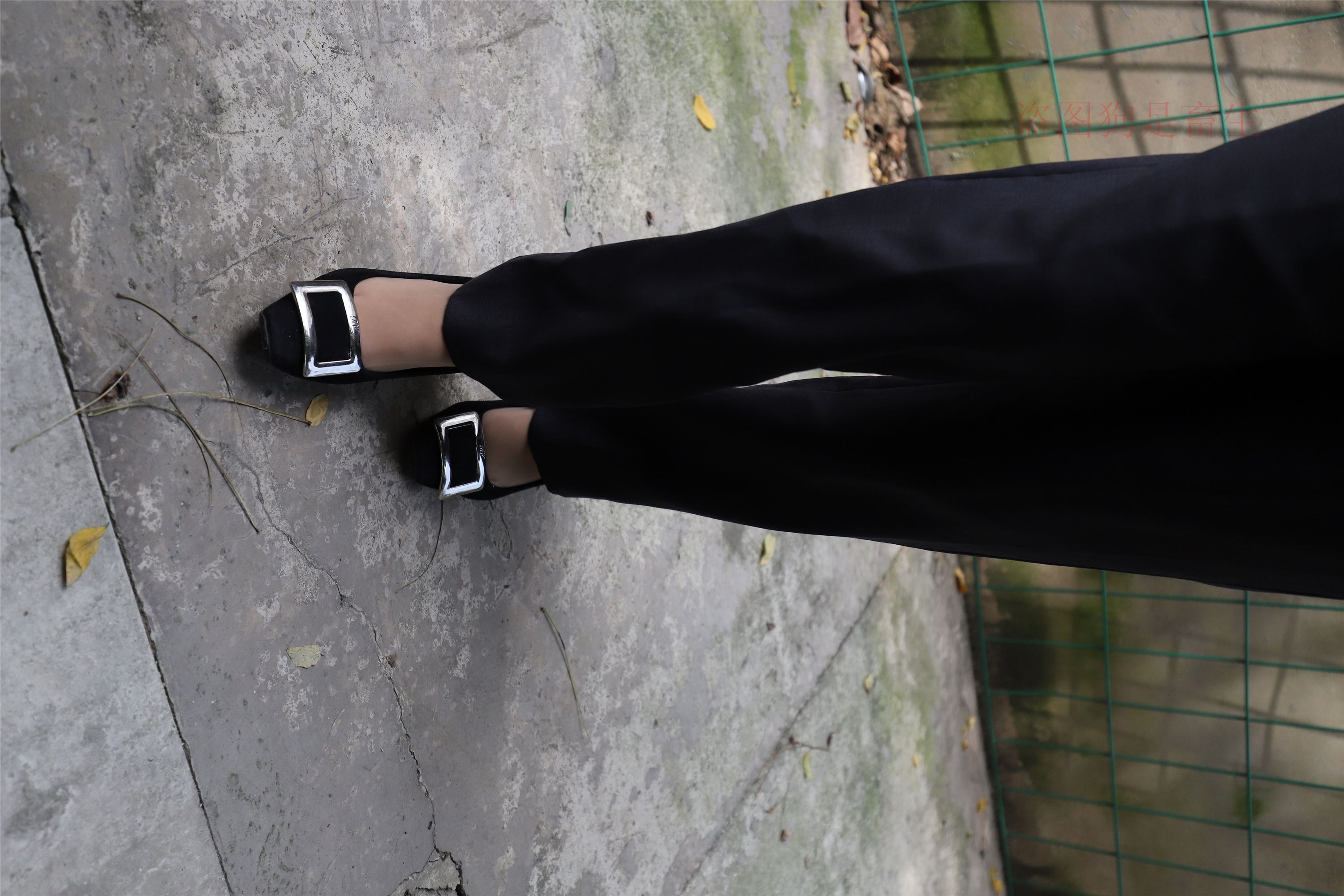 大西瓜美女图片 Z5-1 制服短si 435p2