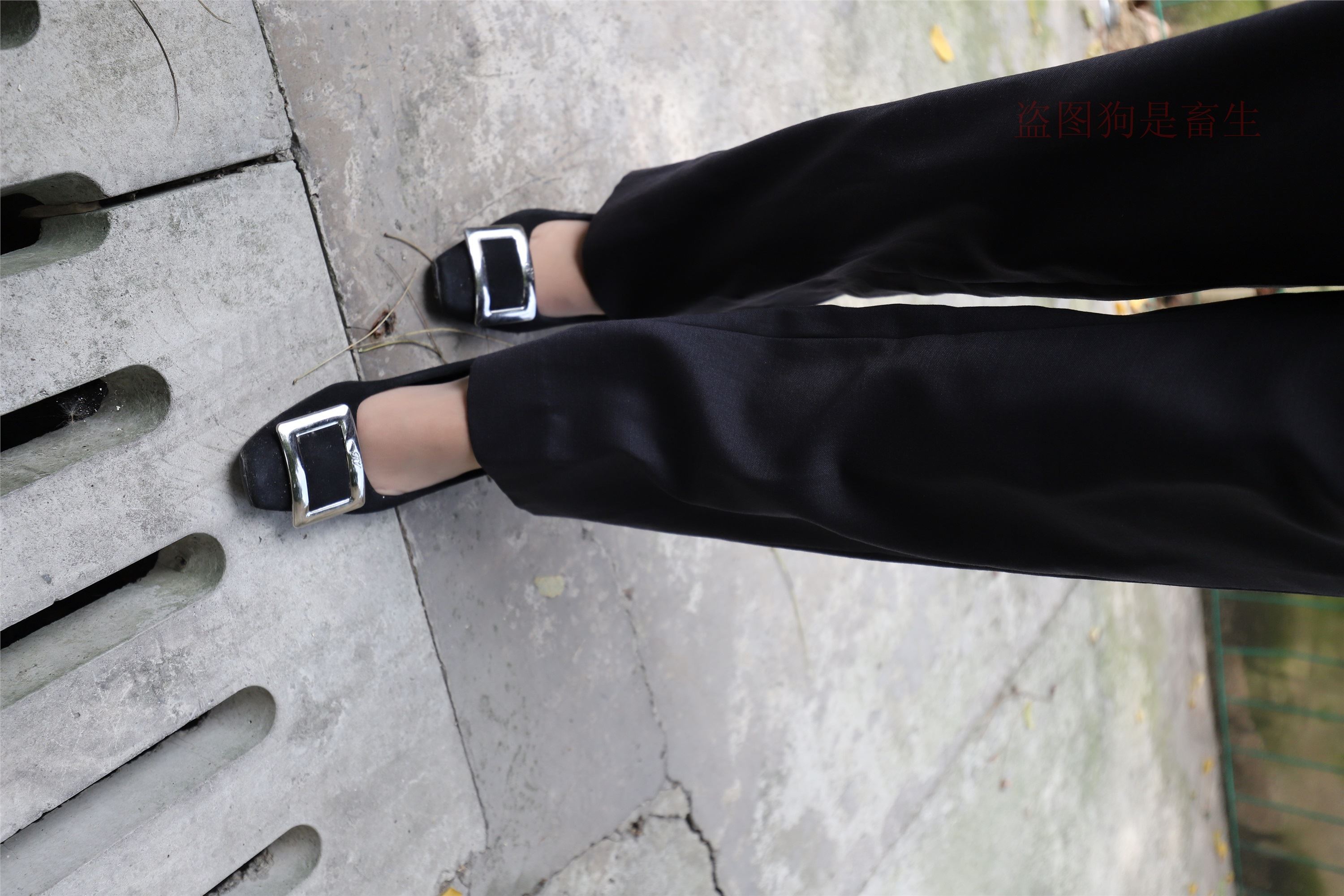 大西瓜美女图片 Z5-1 制服短si 435p2