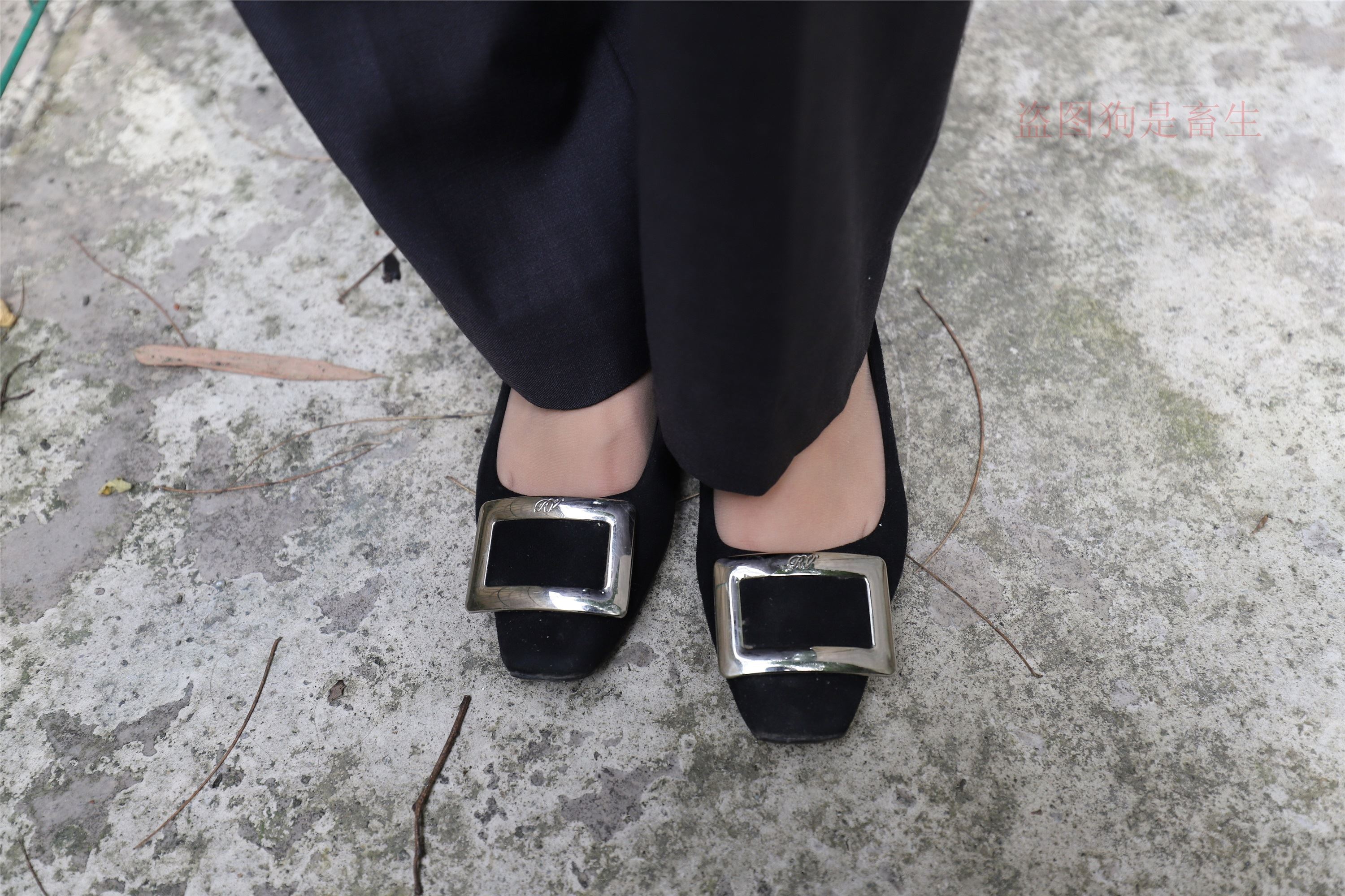 大西瓜美女图片 Z5-1 制服短si 435p2