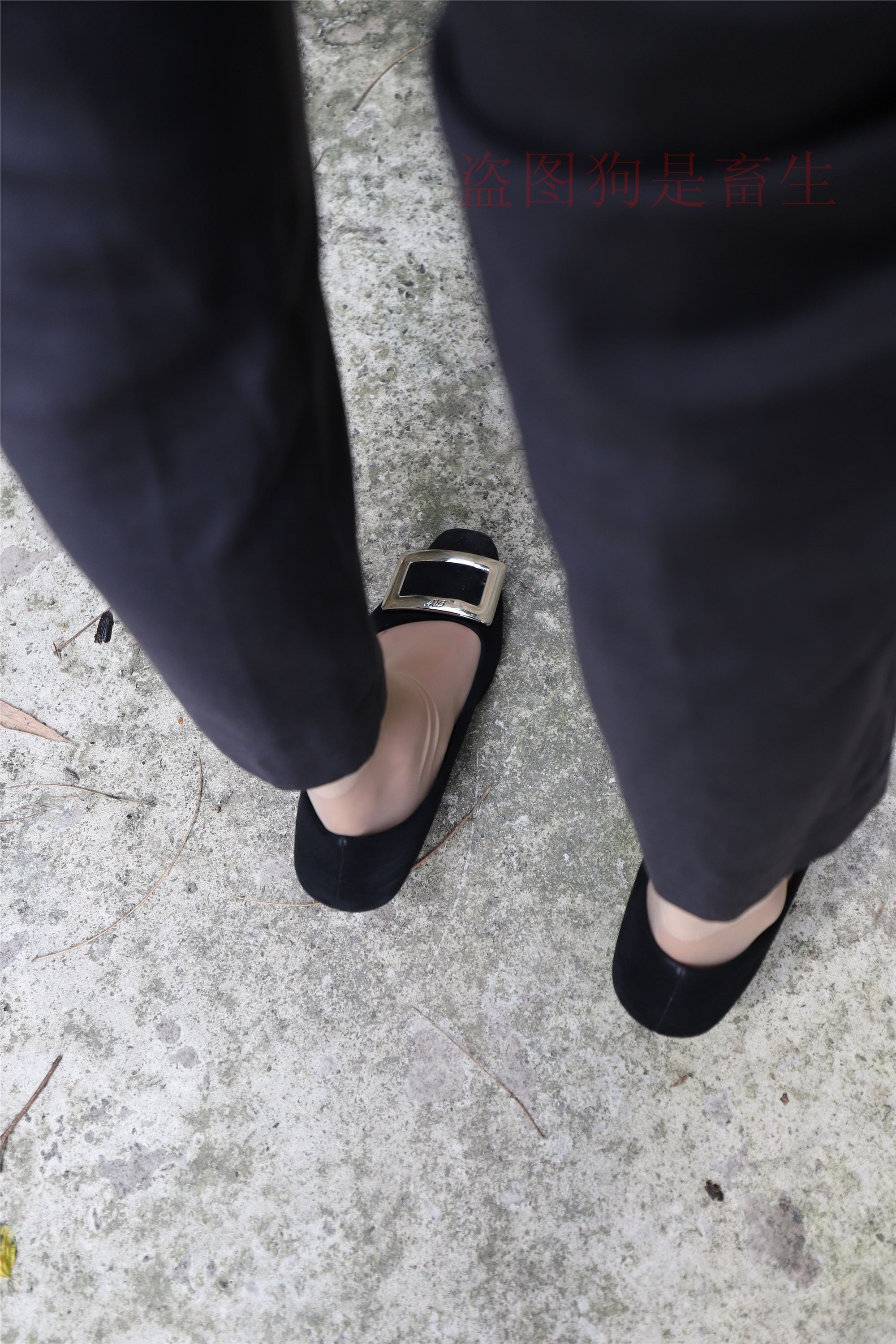 大西瓜美女图片 Z5-1 制服短si 435p2