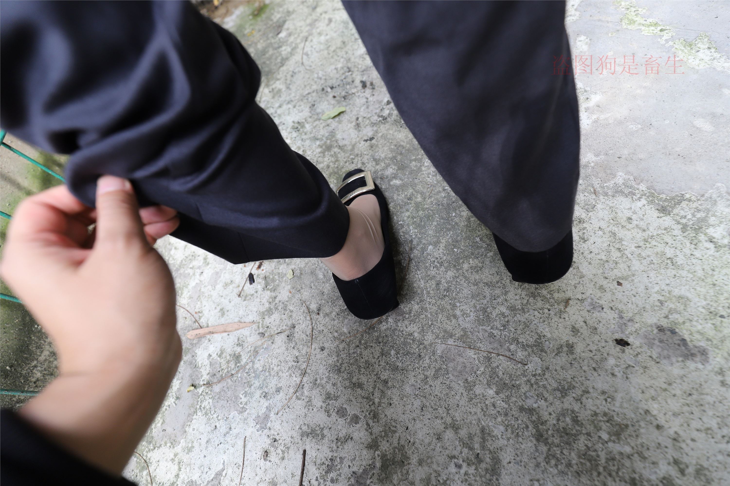 大西瓜美女图片 Z5-1 制服短si 435p2