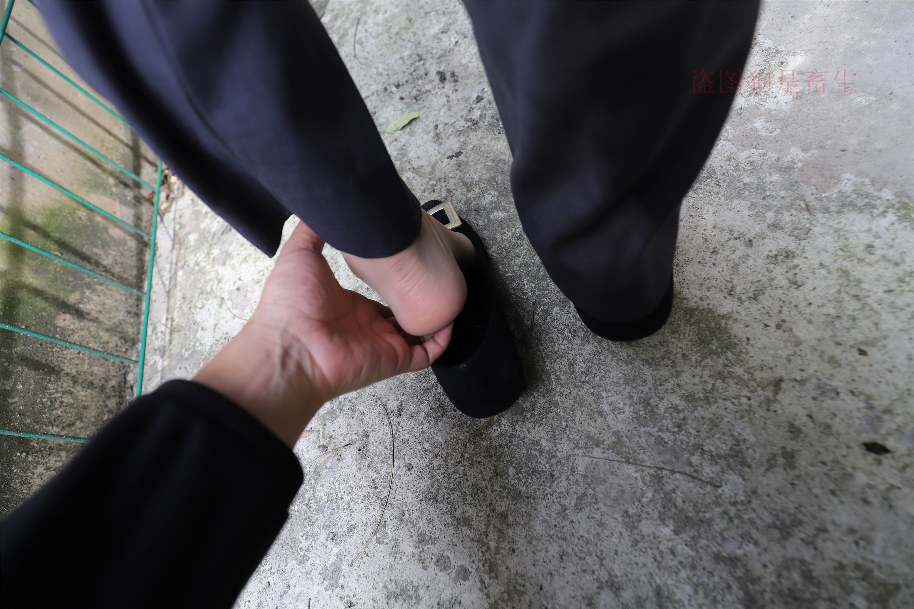 大西瓜美女图片 Z5-1 制服短si 435p2