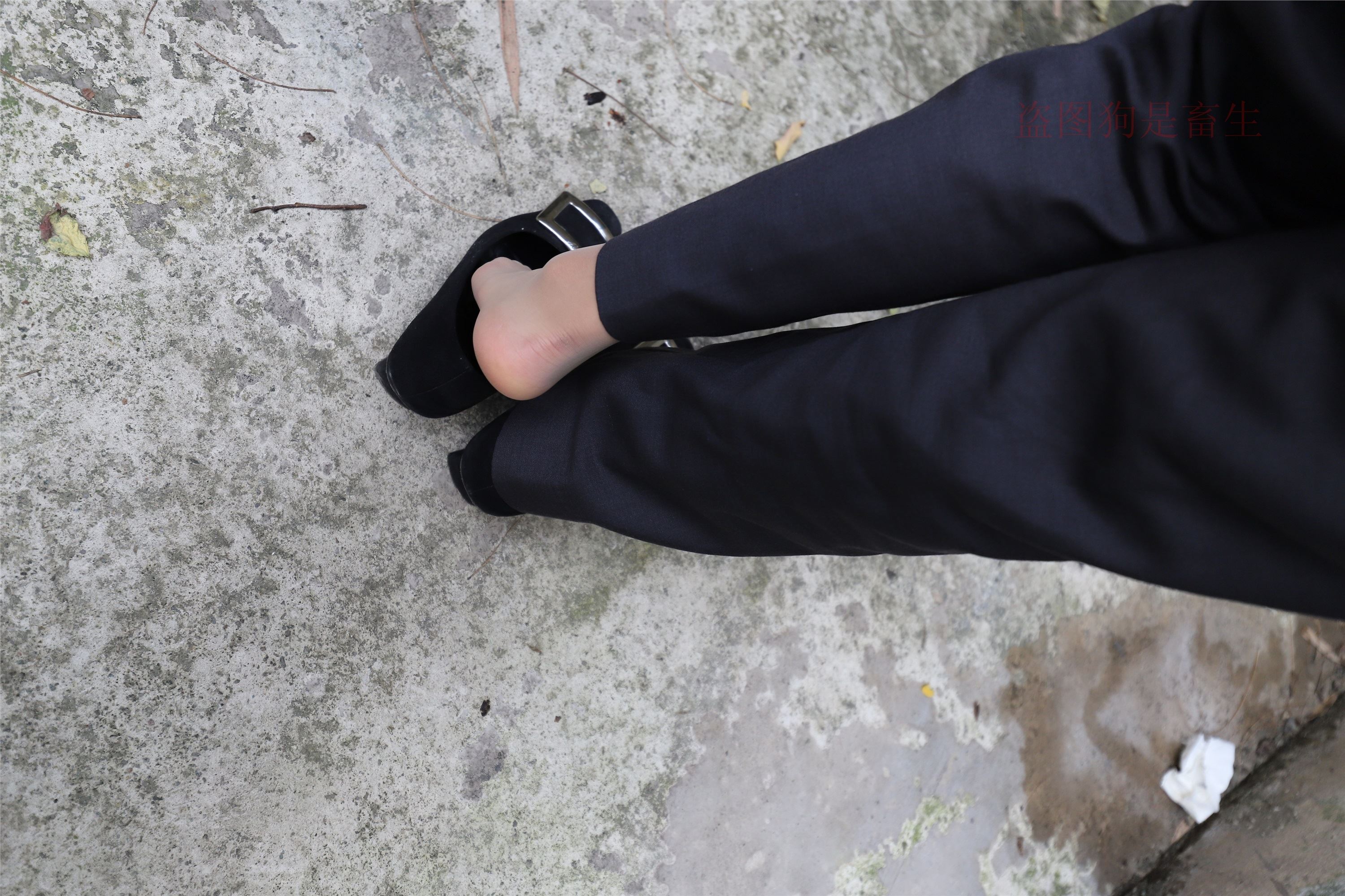 大西瓜美女图片 Z5-1 制服短si 435p2