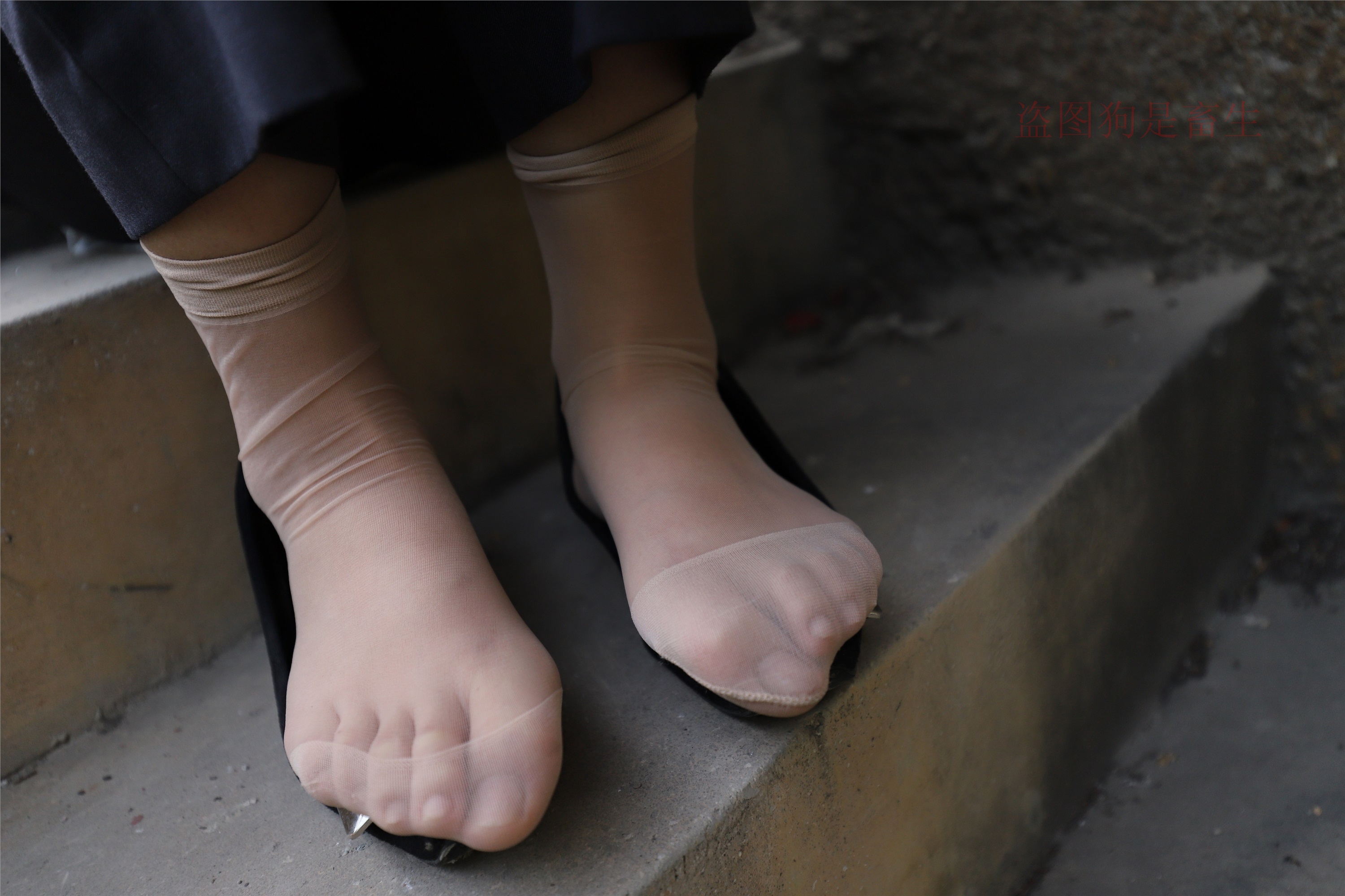 大西瓜美女图片 Z5-1 制服短si 435p3