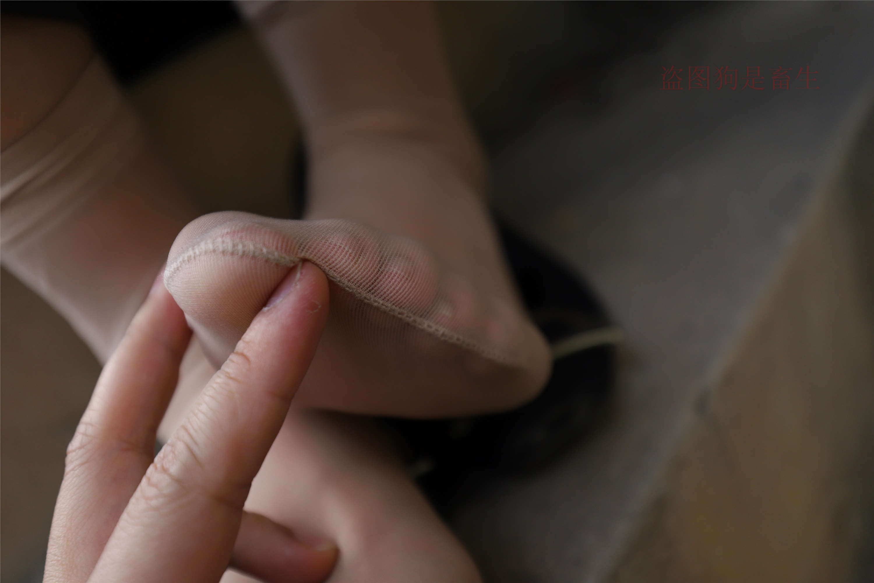 大西瓜美女图片 Z5-1 制服短si 435p3