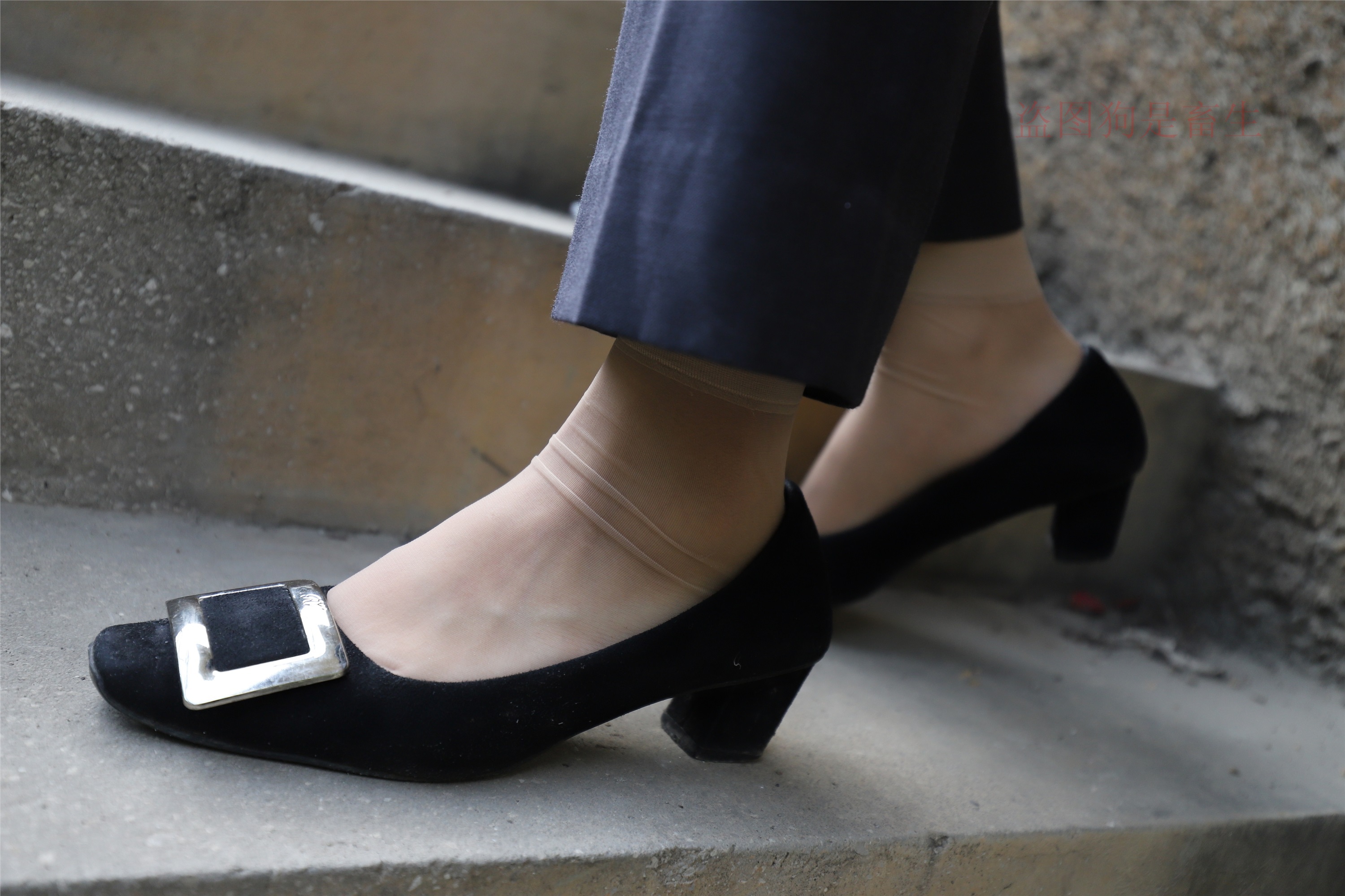 大西瓜美女图片 Z5-1 制服短si 435p3