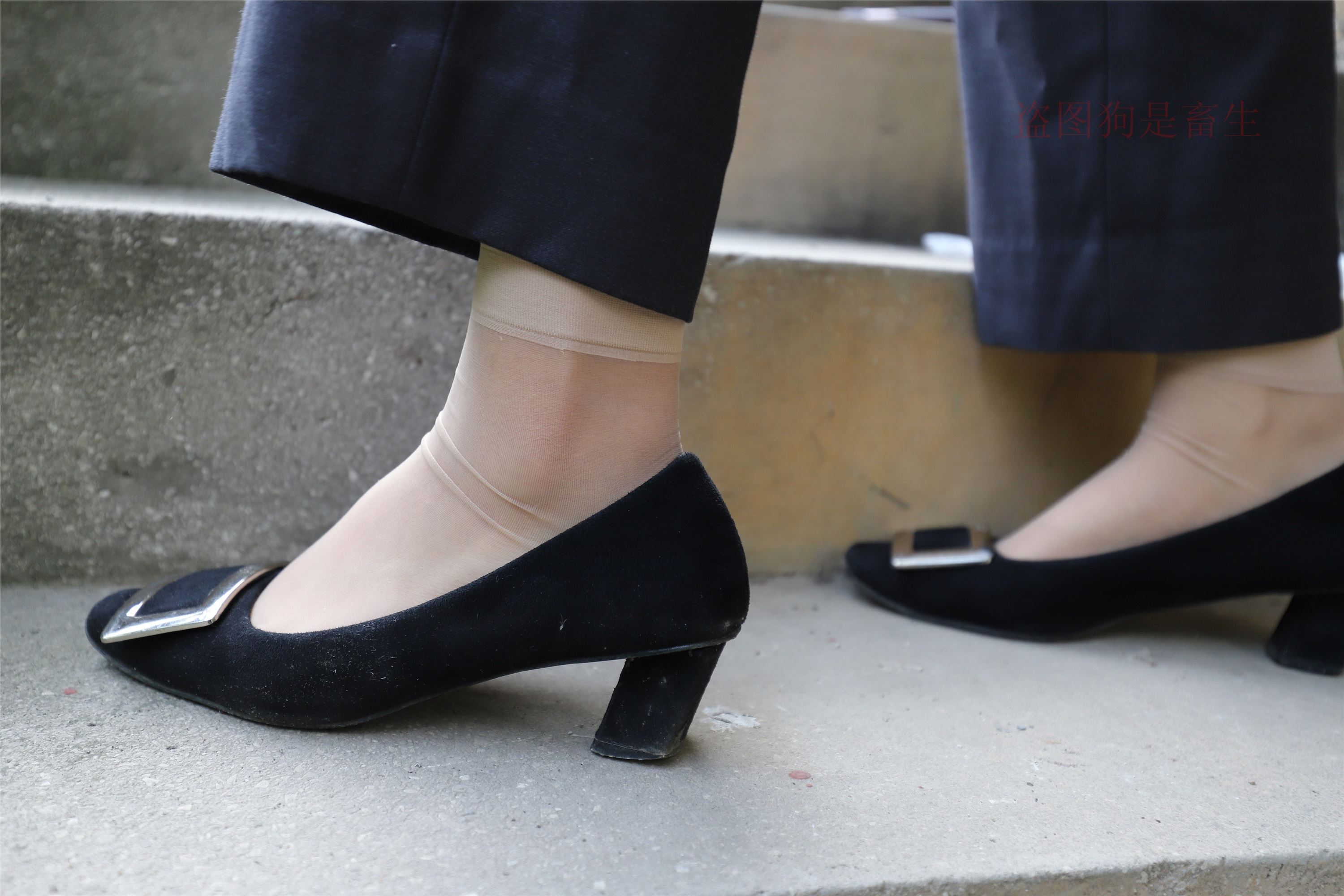 大西瓜美女图片 Z5-1 制服短si 435p3