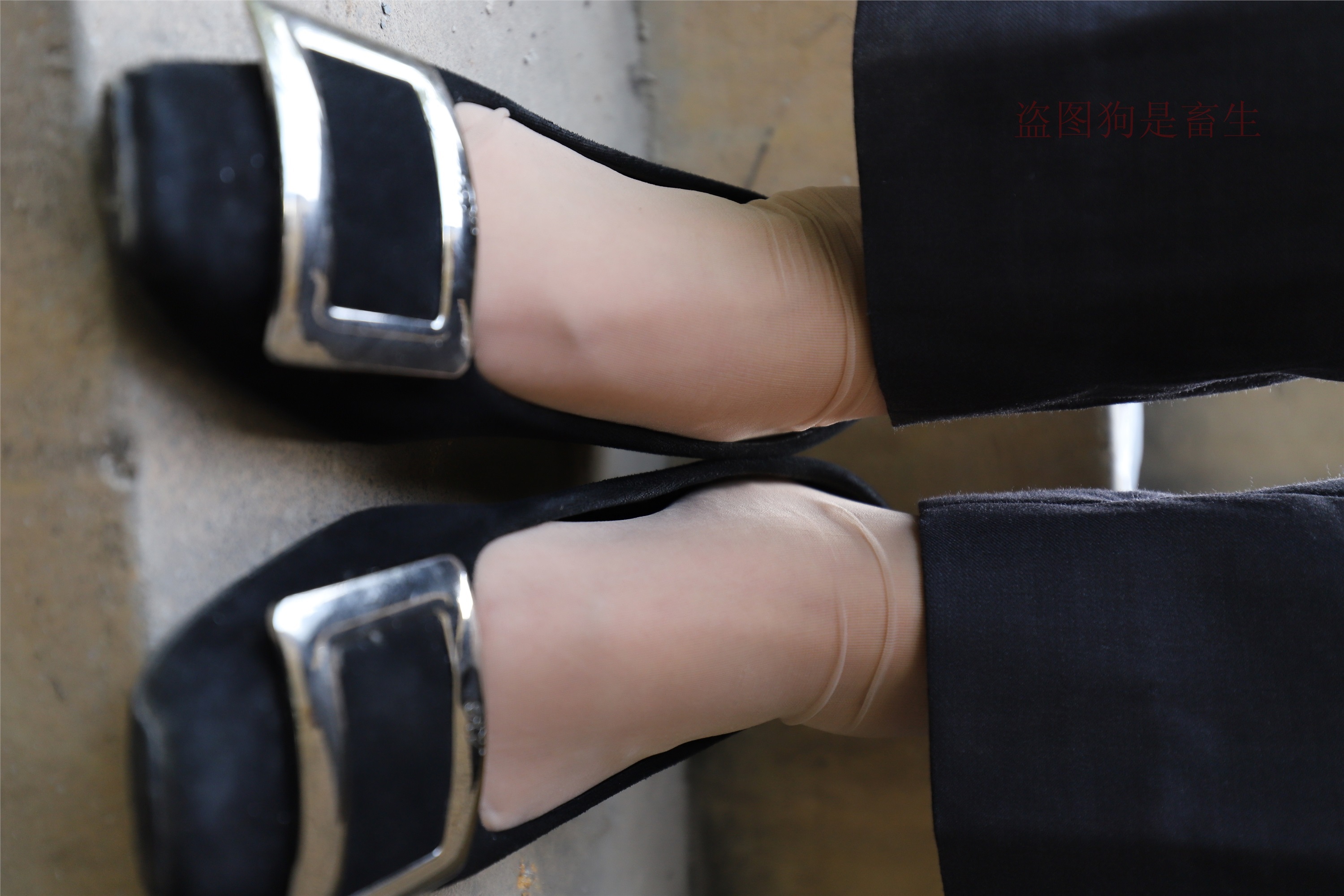 大西瓜美女图片 Z5-1 制服短si 435p3