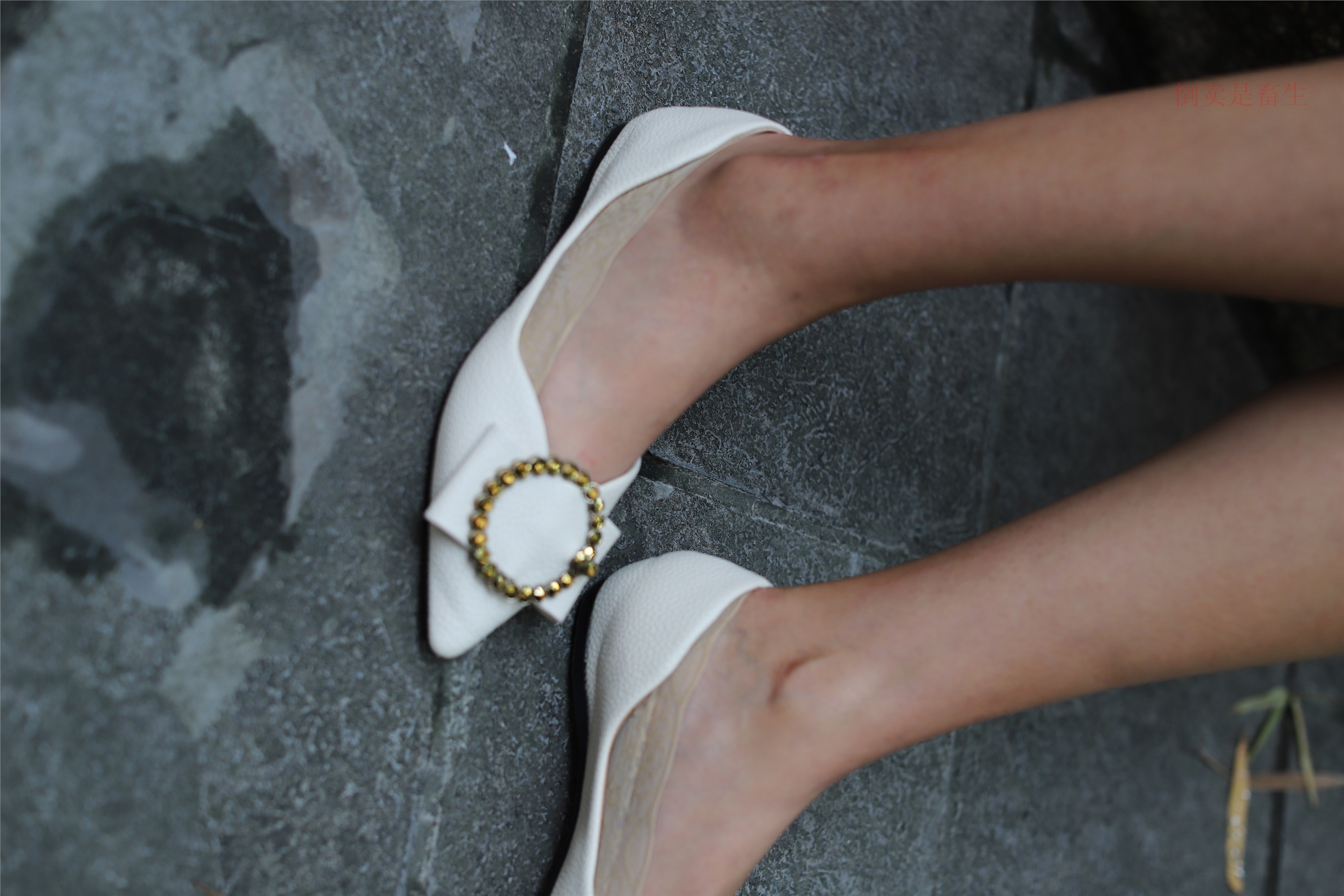 大西瓜美女图片 Z5-2 船wa 248p1