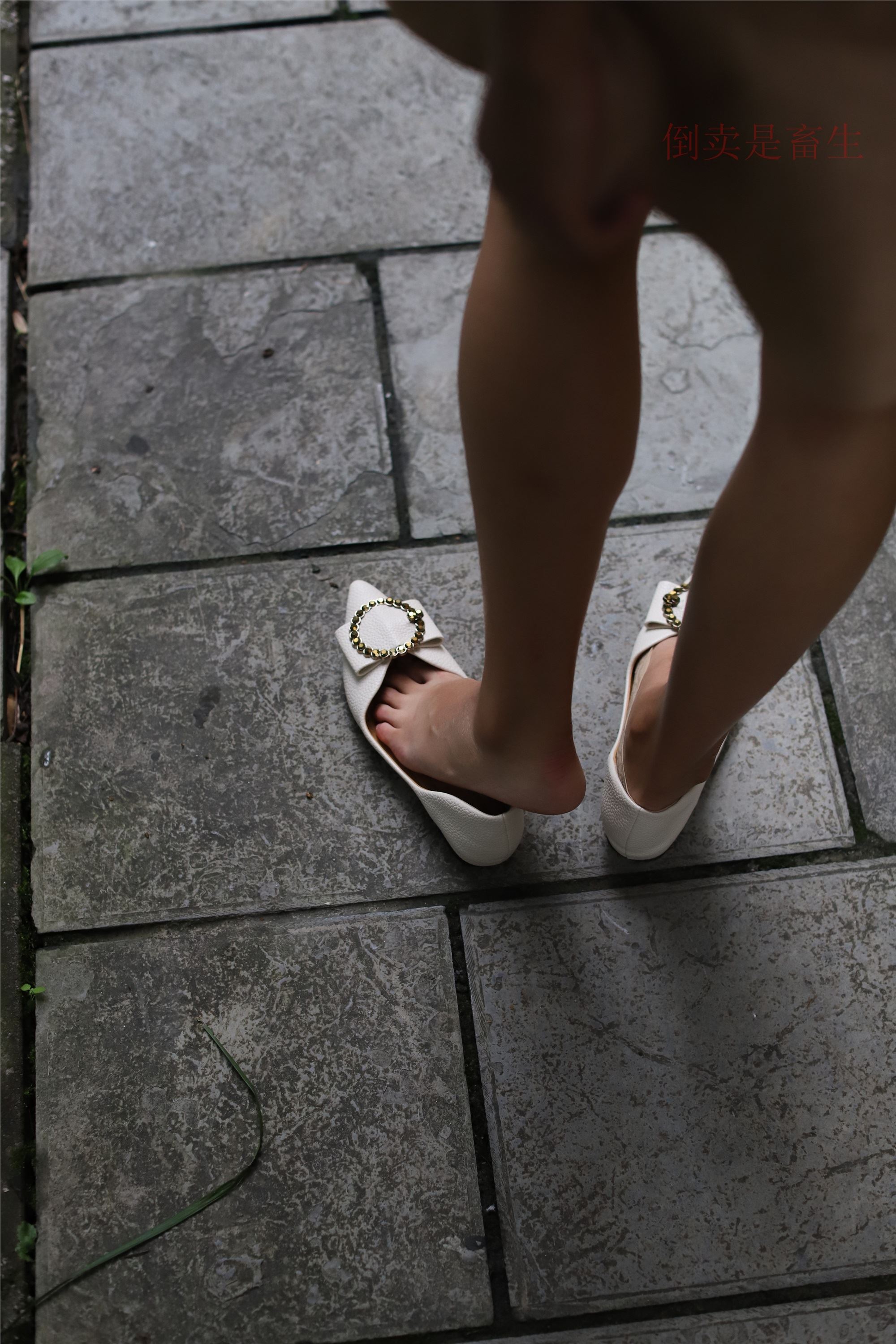 大西瓜美女图片 Z5-2 船wa 248p2