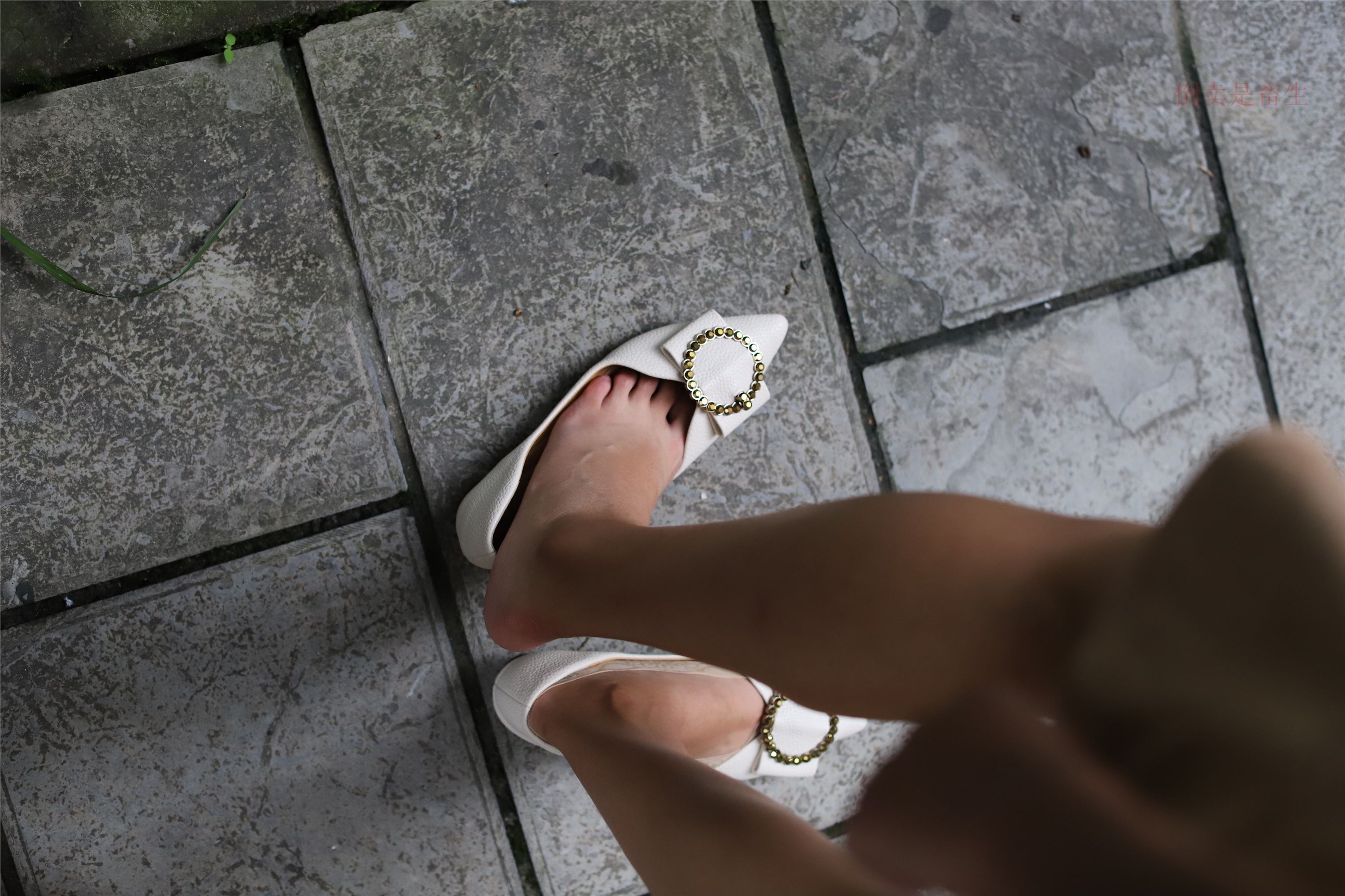 大西瓜美女图片 Z5-2 船wa 248p2