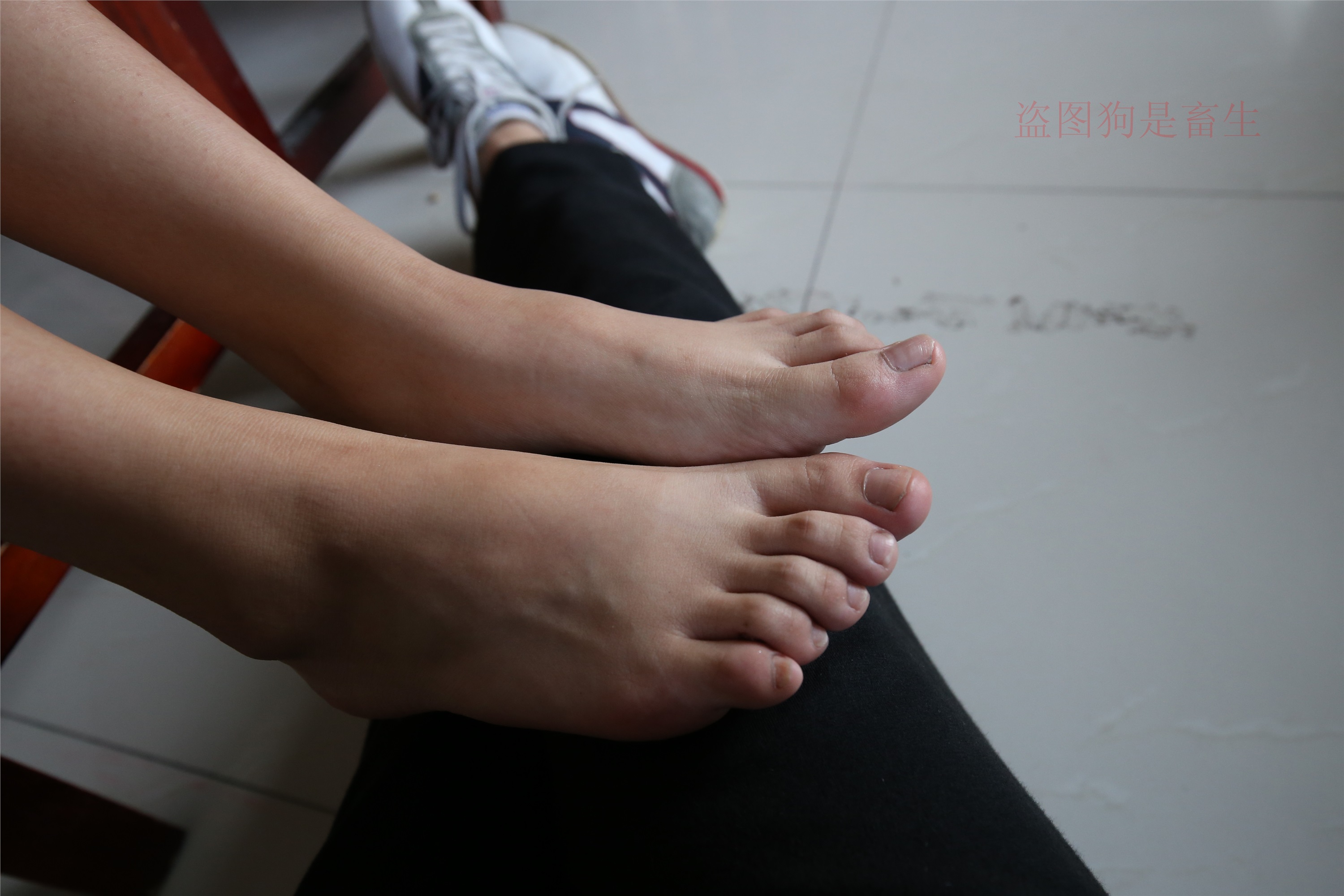 大西瓜美女图片 Z5-4 电梯冰si luo足 316p1