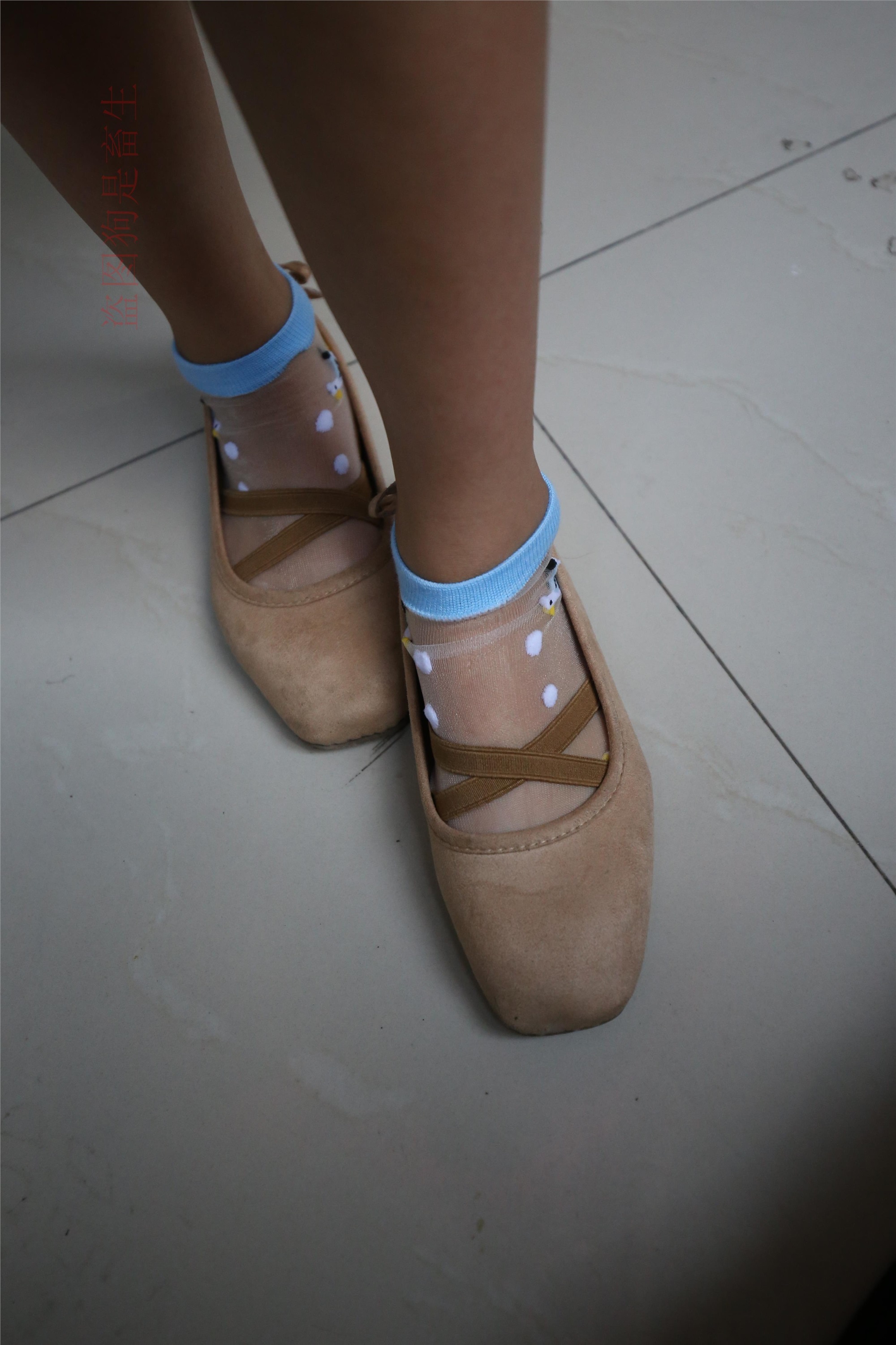 大西瓜美女图片 Z5-4 电梯冰si luo足 316p2