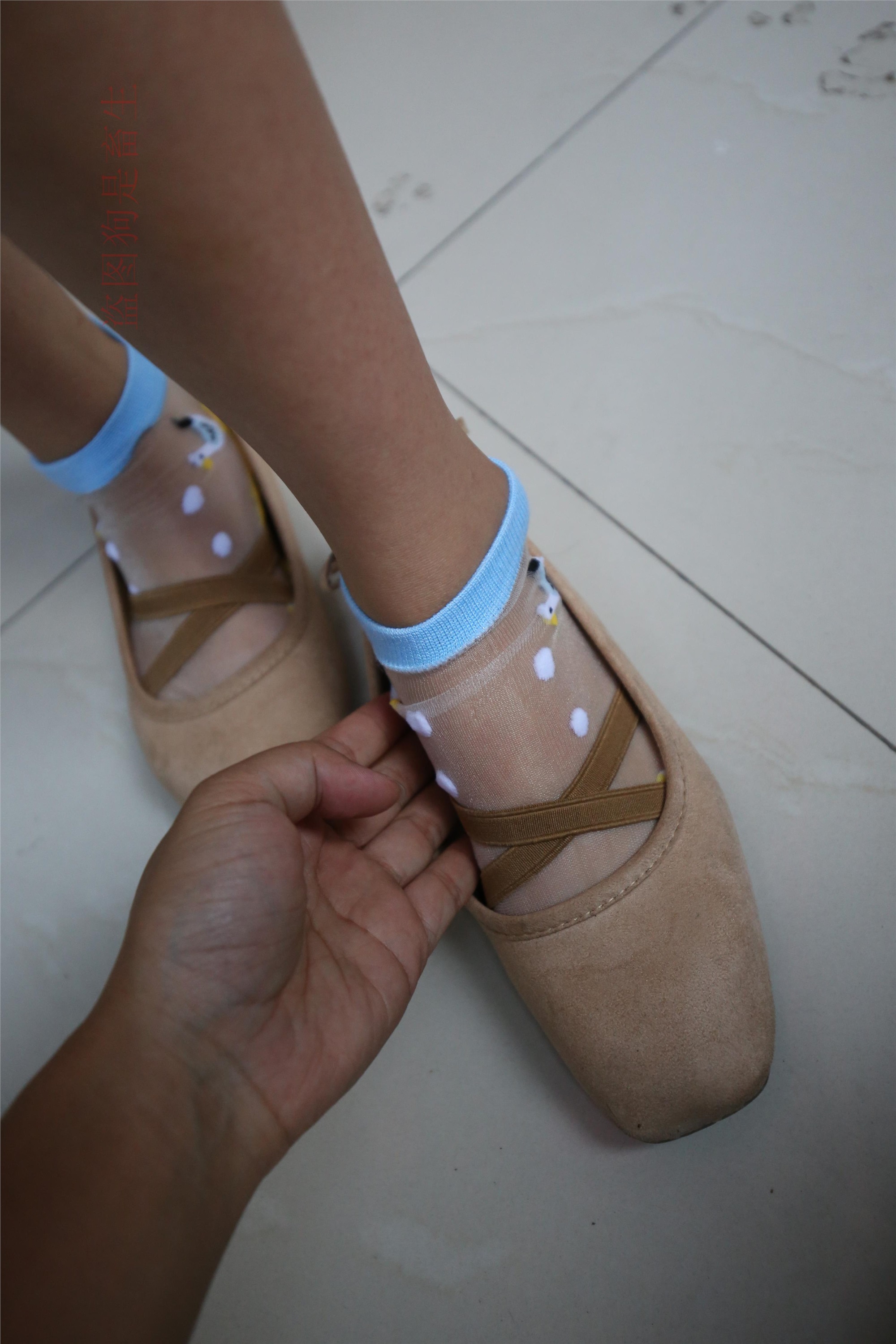 大西瓜美女图片 Z5-4 电梯冰si luo足 316p2