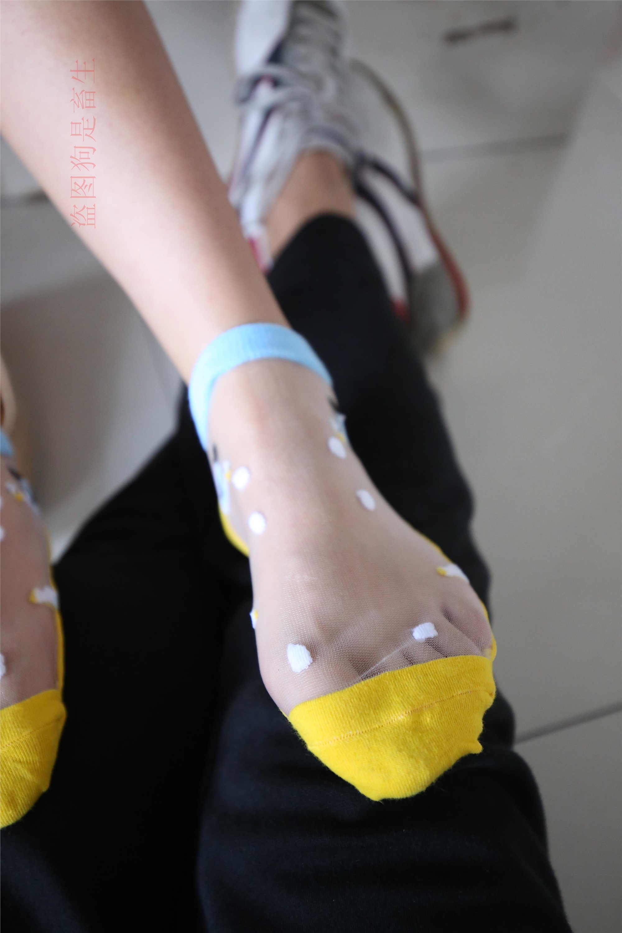 大西瓜美女图片 Z5-4 电梯冰si luo足 316p3